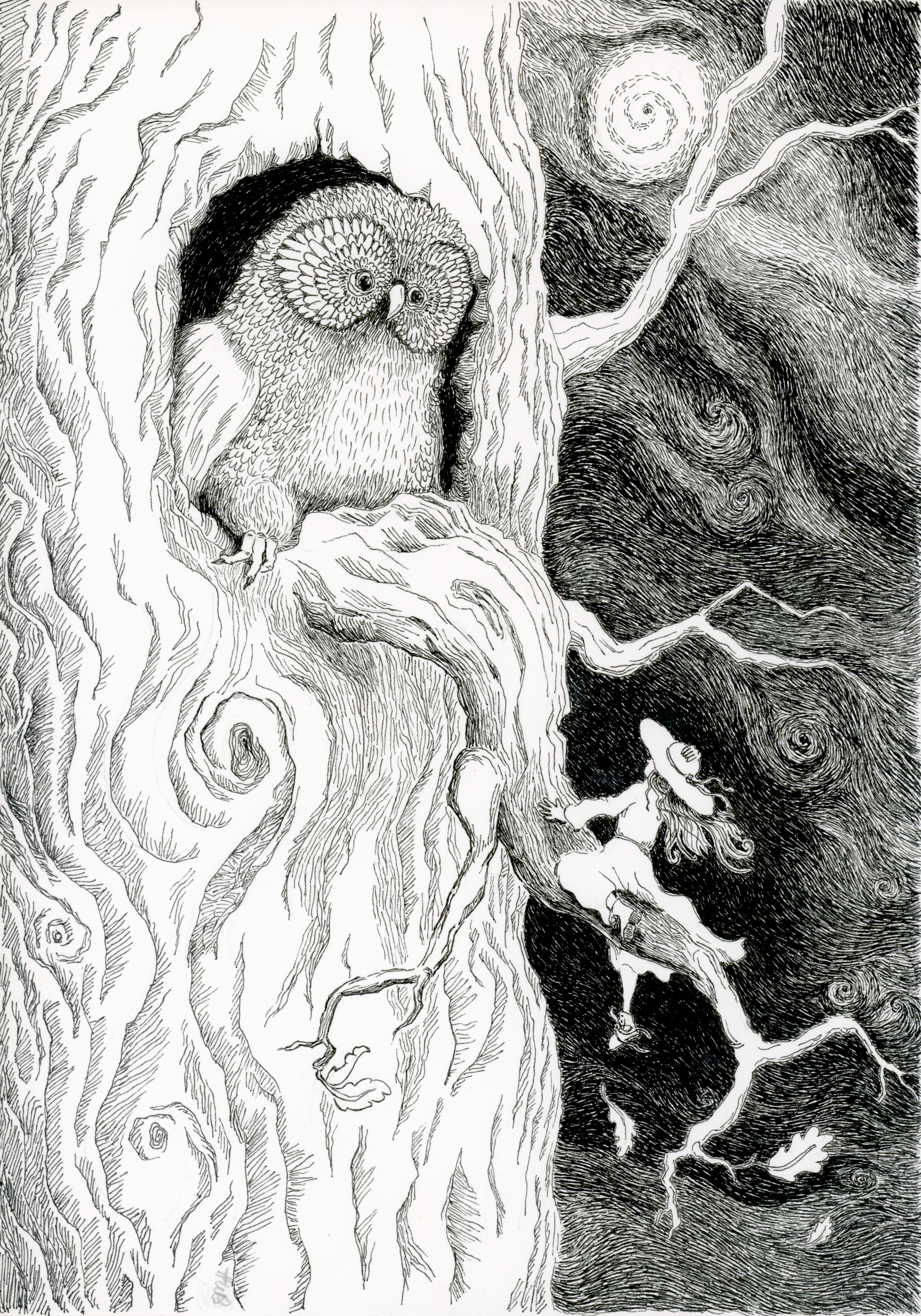 A black and white children's book style illustration of a woman on a branch high up in a tree, holding her hat to keep it from blowing away. She looks up the tree to a large hole in the trunk, from which a very large owl gazes down at her.