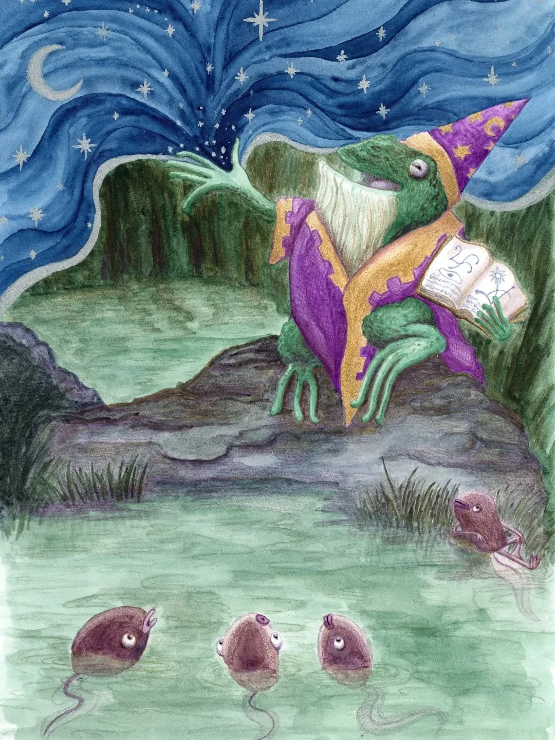 A mysterious toad emerges from the night, adorned in a fine golden robe and hat, ancient book and compasses in hand. All the tadpoles gather round to hear what this travelling stranger has to say. The teacher begins to speak and demonstrate with pass