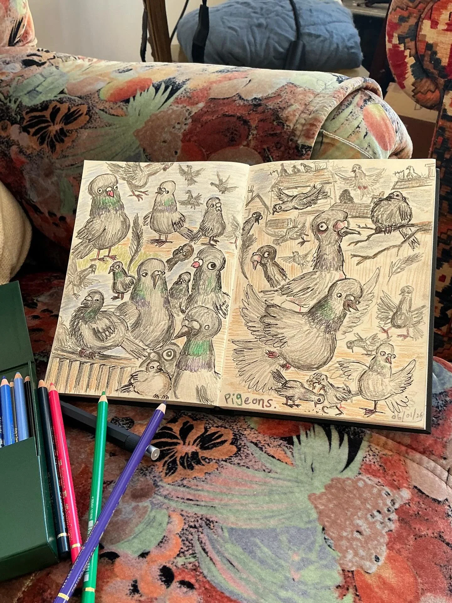 I&rsquo;ve been drawing pigeons today.

Happy new year everyone! I have been thinking about what I would like this new year of 2026 to be about for me, personally, on my own personal journey on this earth. I spent most of last year developing my pain