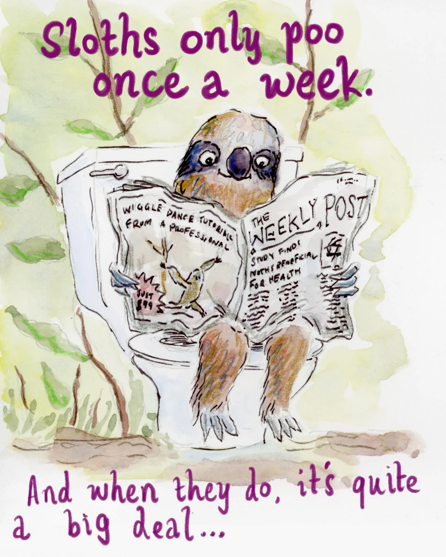 The other day I was thinking about how sloths only poo once a month. 🦥 💩 

And how when they do, they climb all the way down to the ground (which is very rare and energetically costly for a sloth), risking being caught by predators. Why not just dr