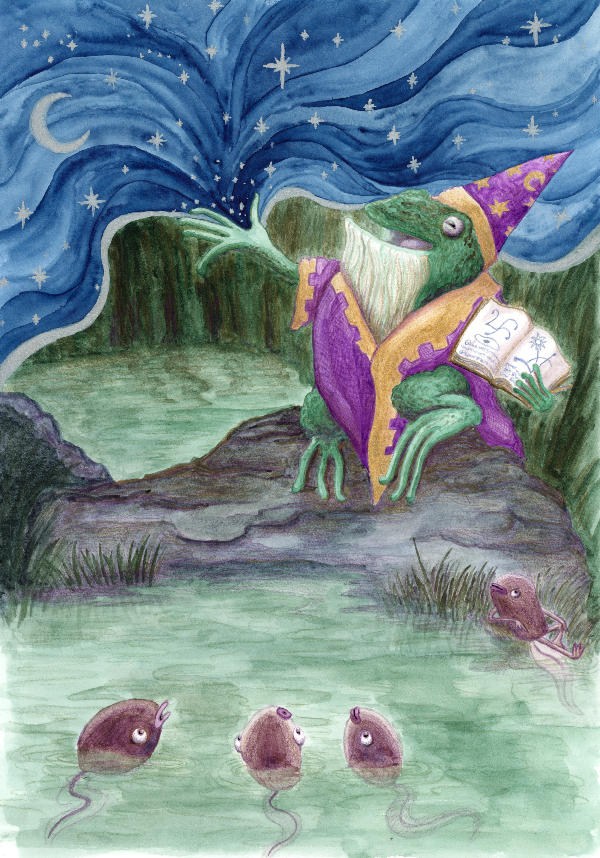 A children's book style illustration of a toad dressed as a magical astrologer, sitting on a rock near a pond at night. The toad is teaching the tadpoles in the water, by opening a magical window to the sky, revealing a shiny moon and stars.