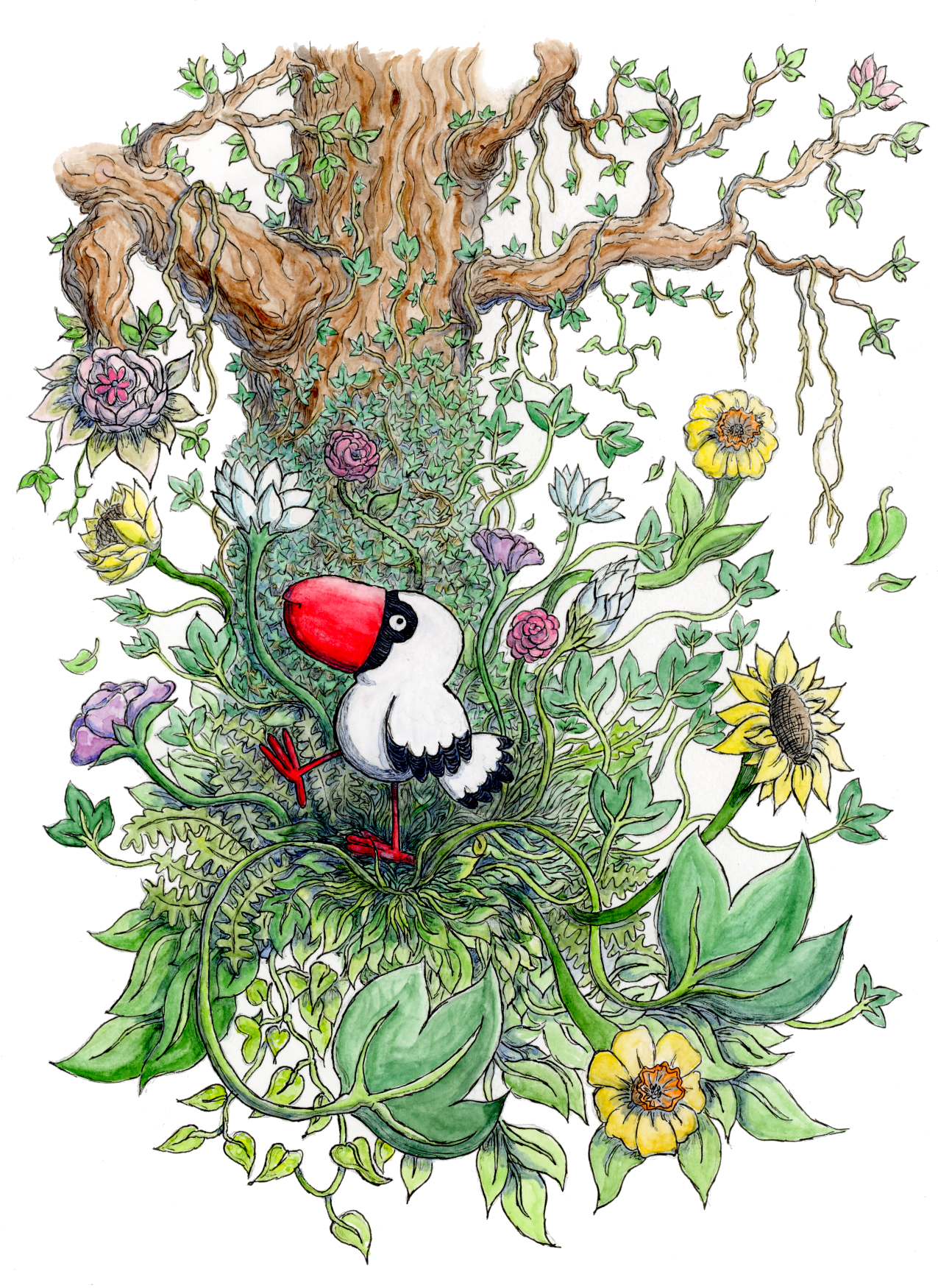 A children's book style illustration in watercolour and ink, of a bird with a red beak and black and white feathers, marching through the forest. An explosion of plants and flowers bursts from her footsteps as she walks.