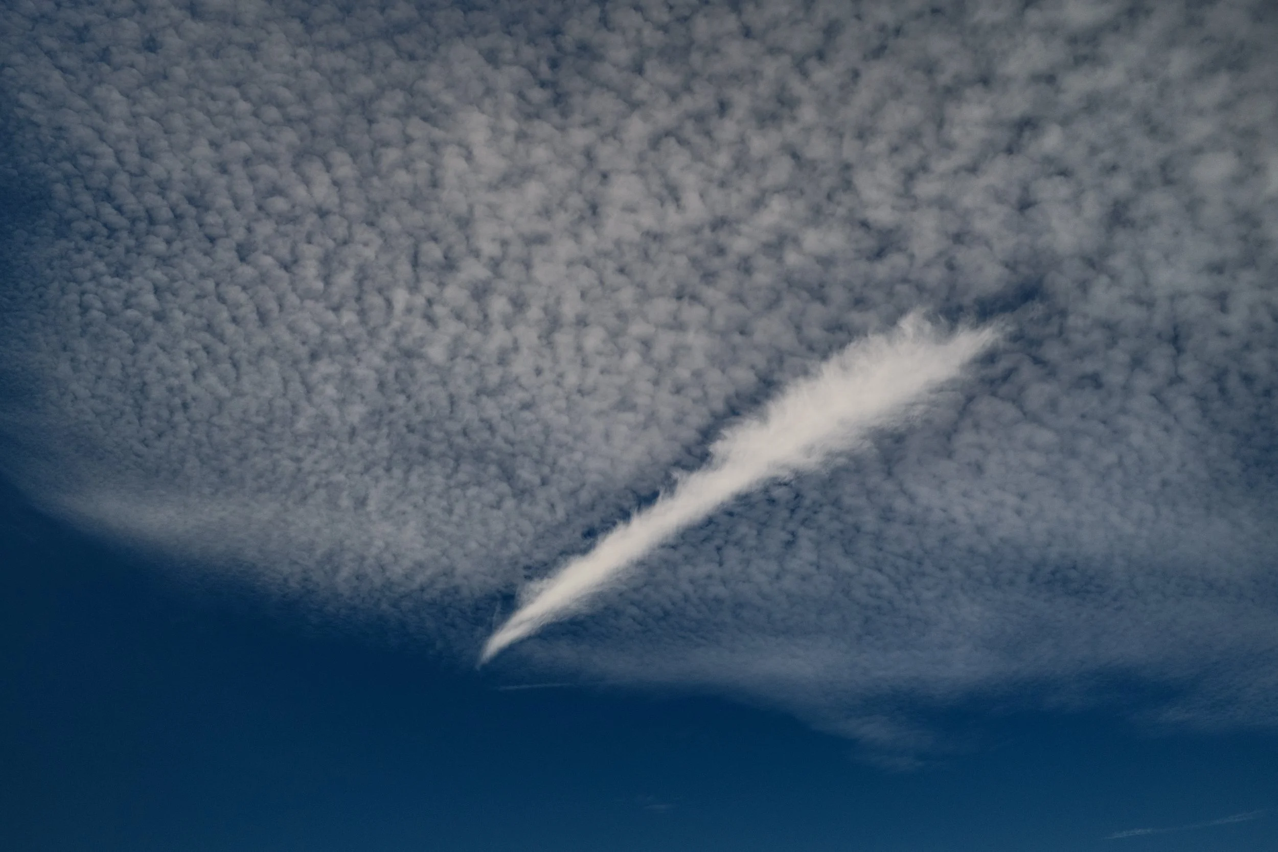 DSCF8453.jpg