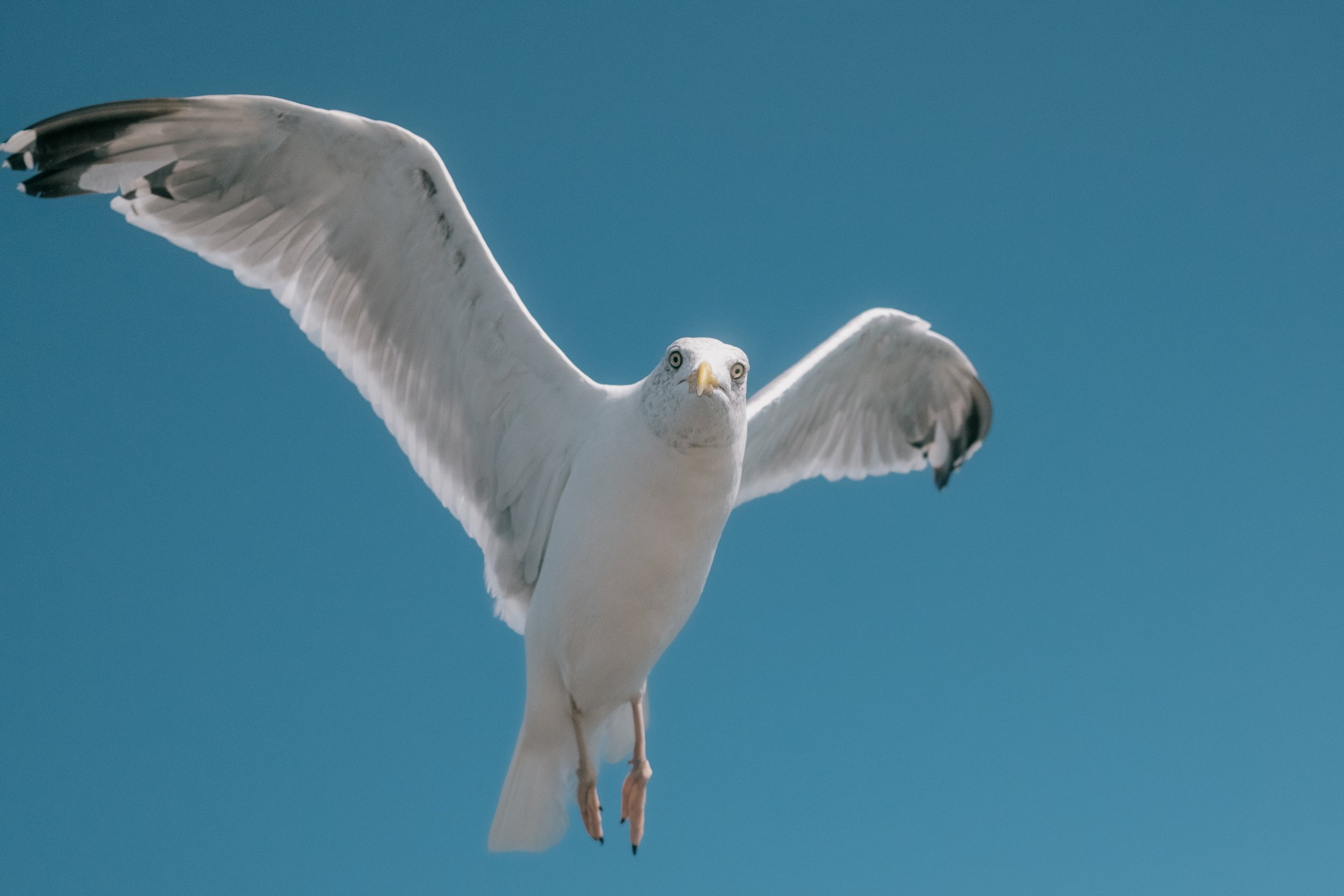 DSCF8497-2 Kopie.jpg