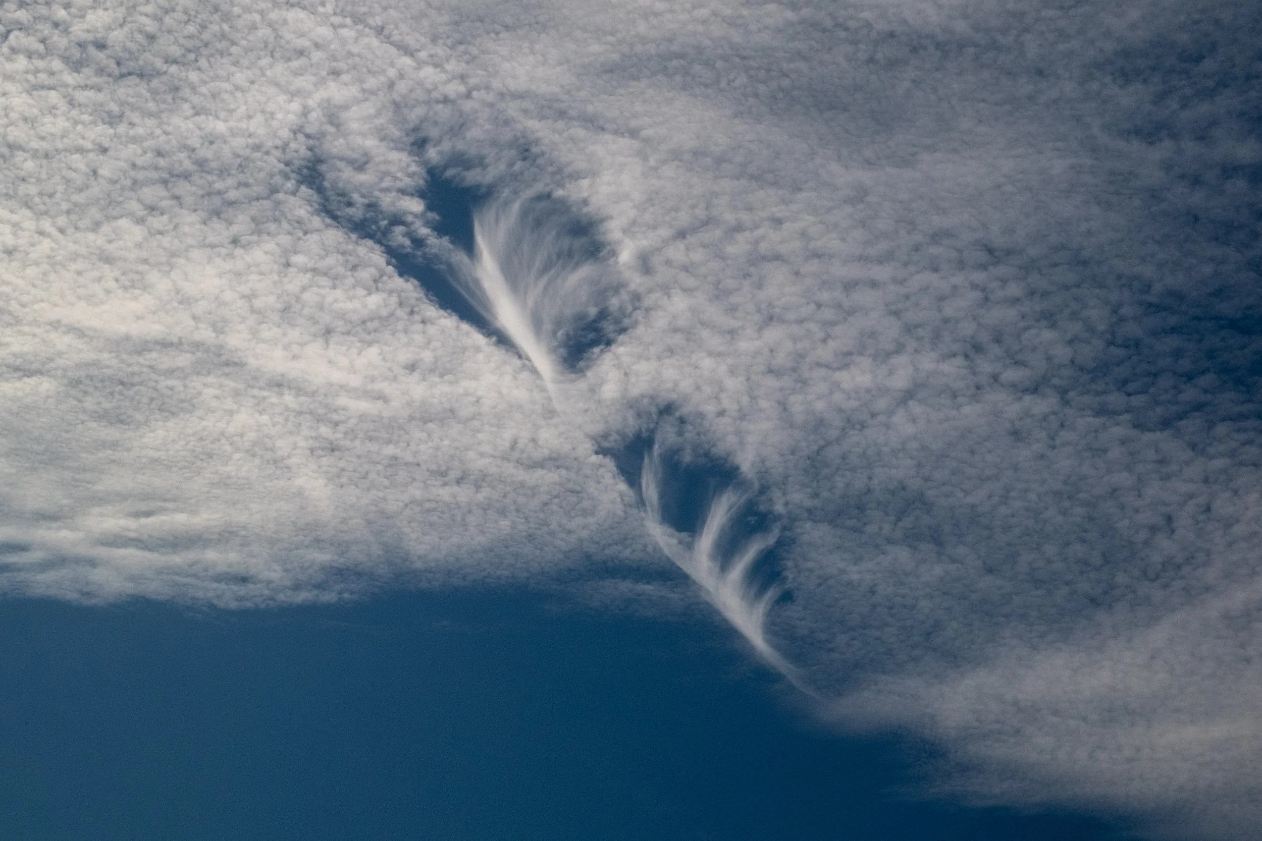 DSCF8448.jpg