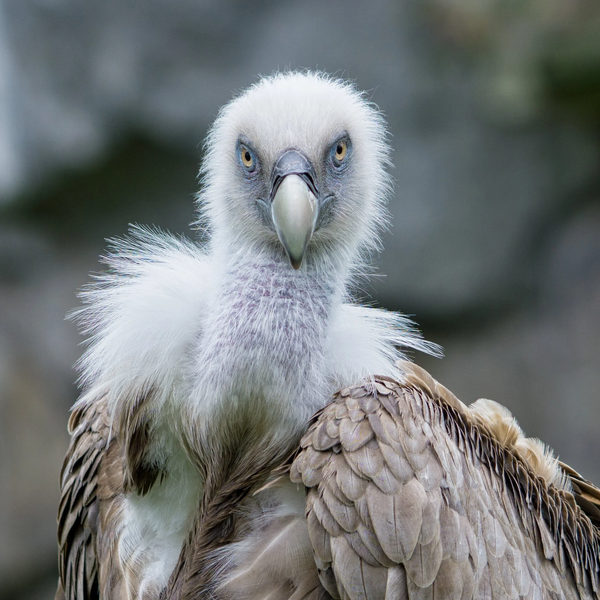 Tierpark_09.07.2016_025 (1).jpg