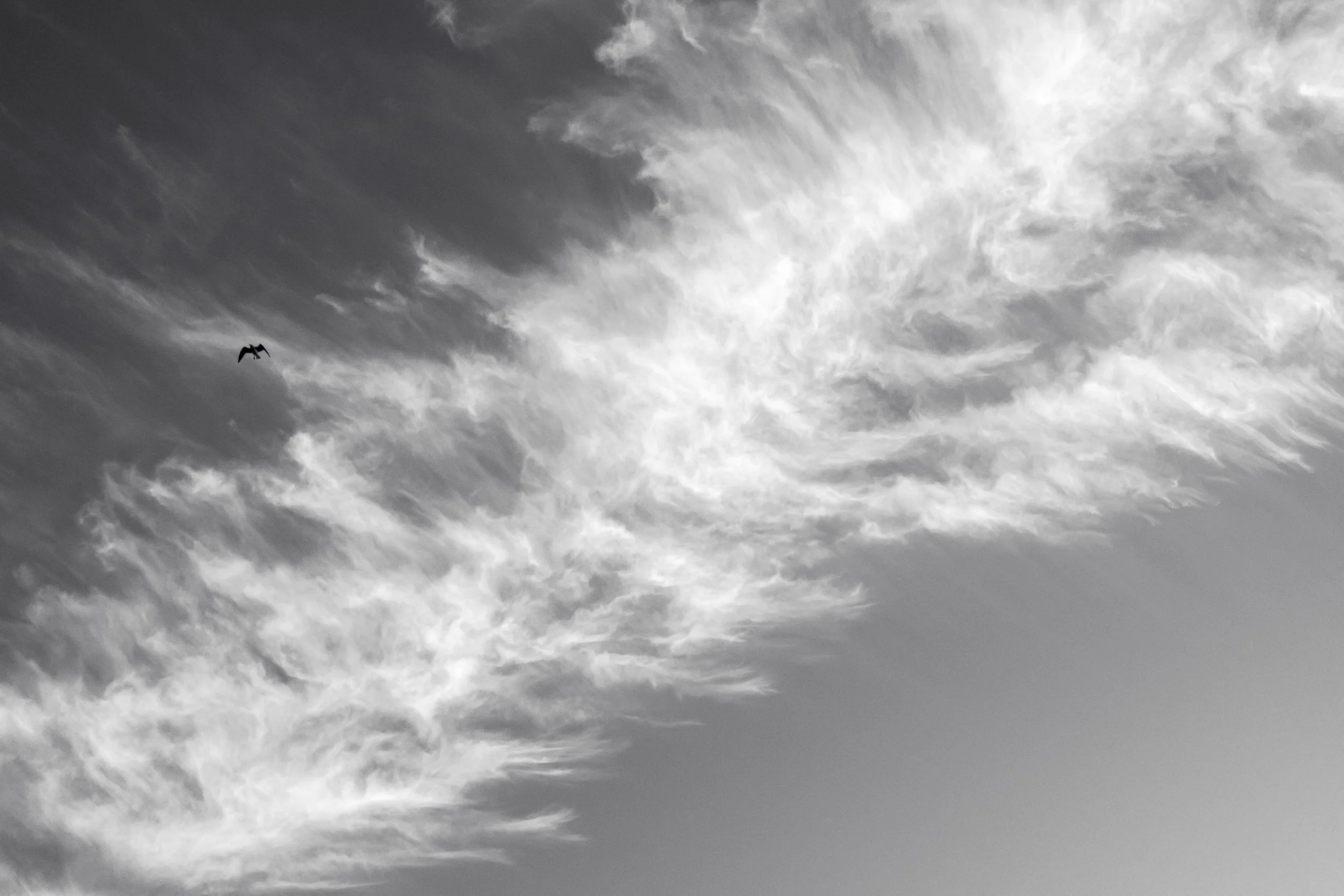 DSCF0061-3 (3)-1.png