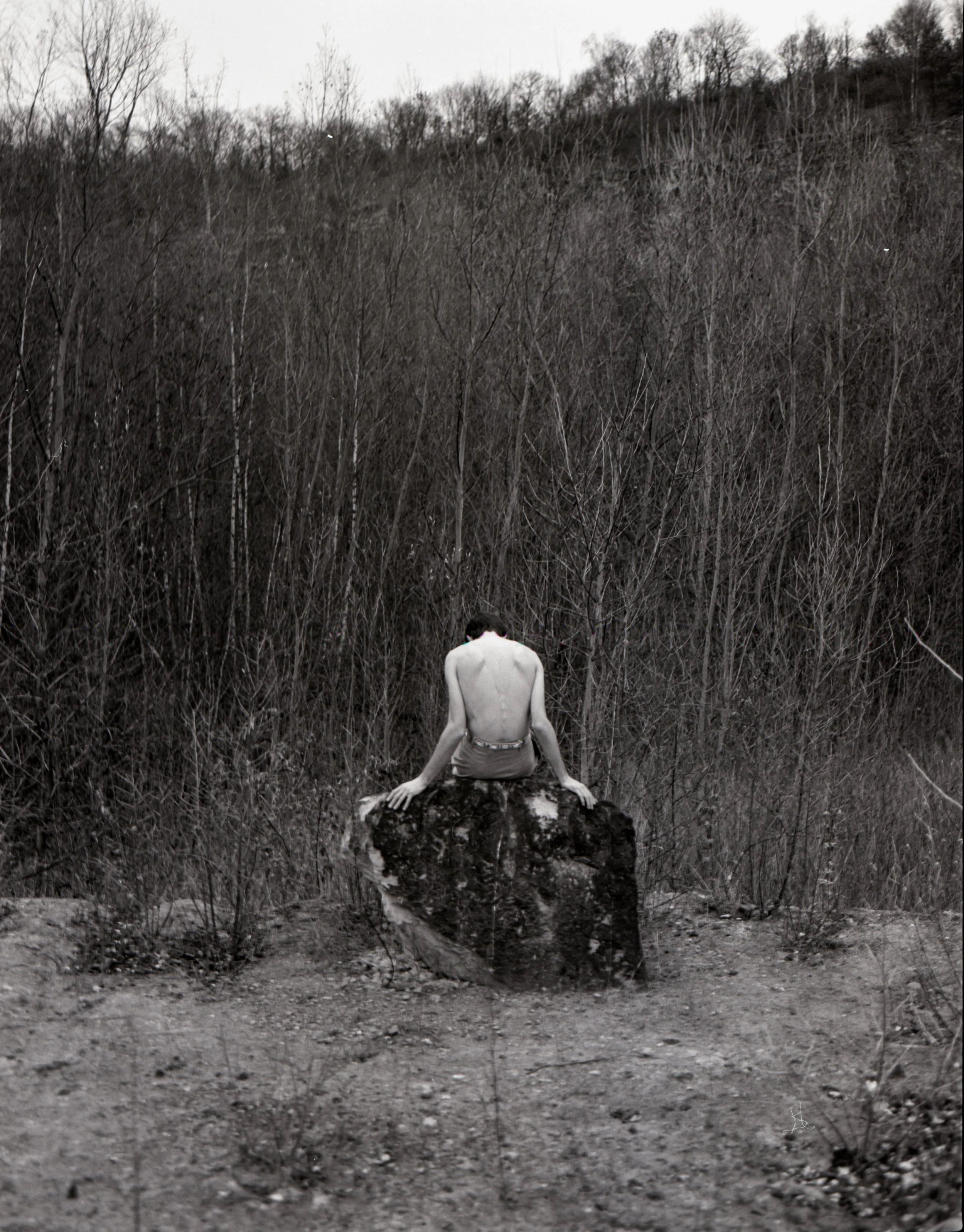 PIPGIELMA-2.jpg