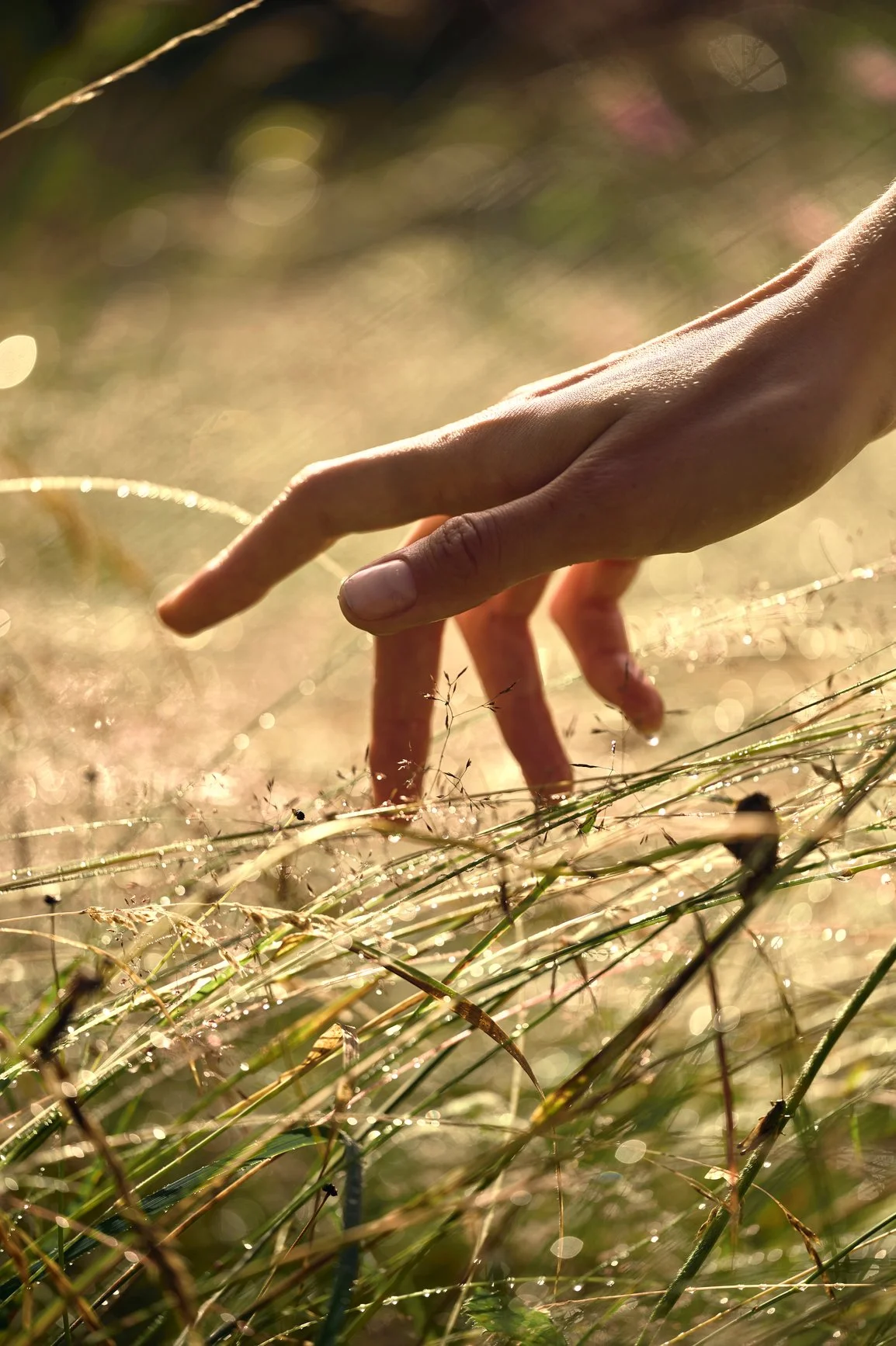 Mano tocando hierba