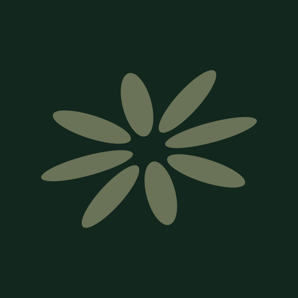 Komplette Wellness-Reise