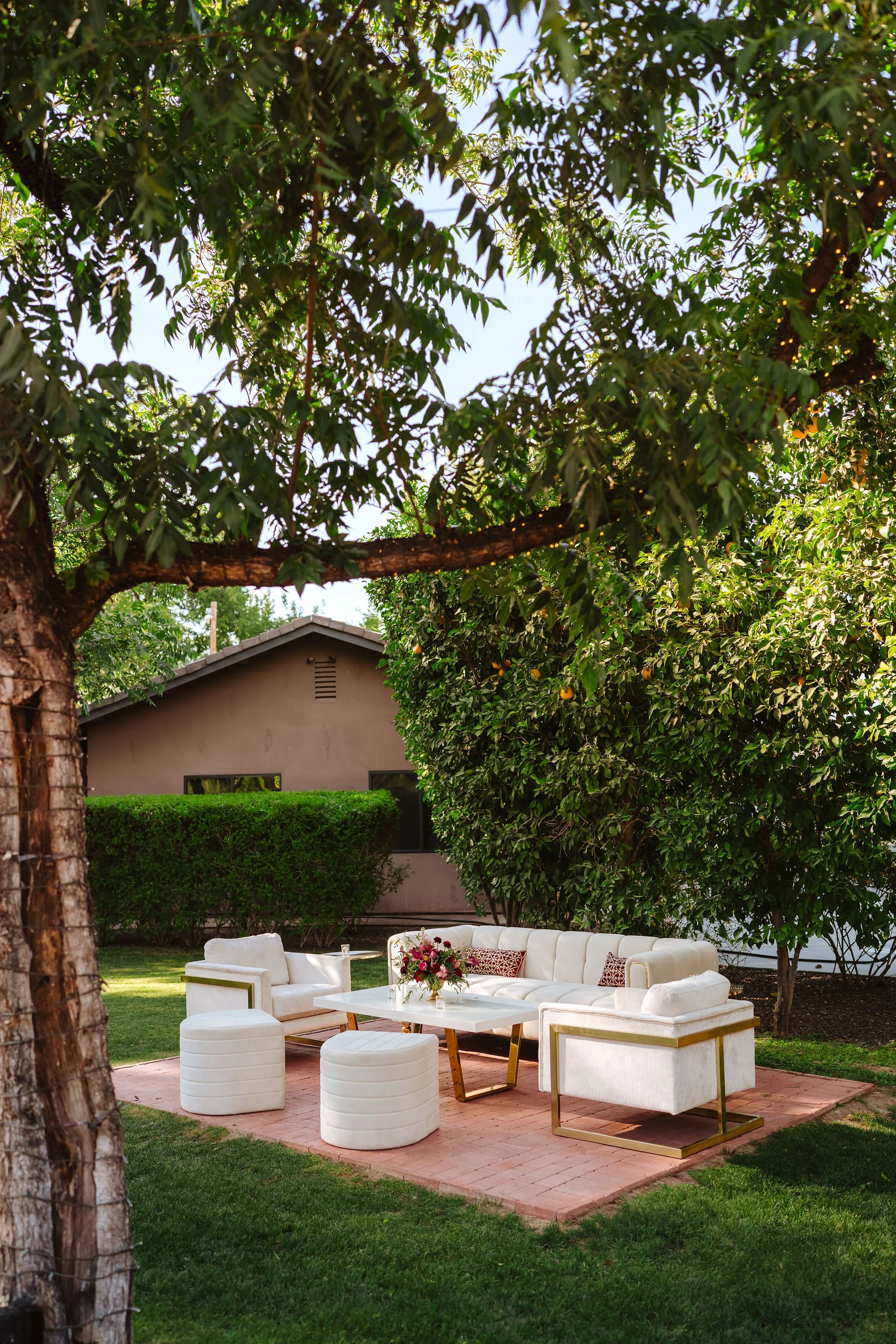 Outdoor wedding lounge surrounded by mature trees and greenery at Venue at the Grove in Phoenix.
