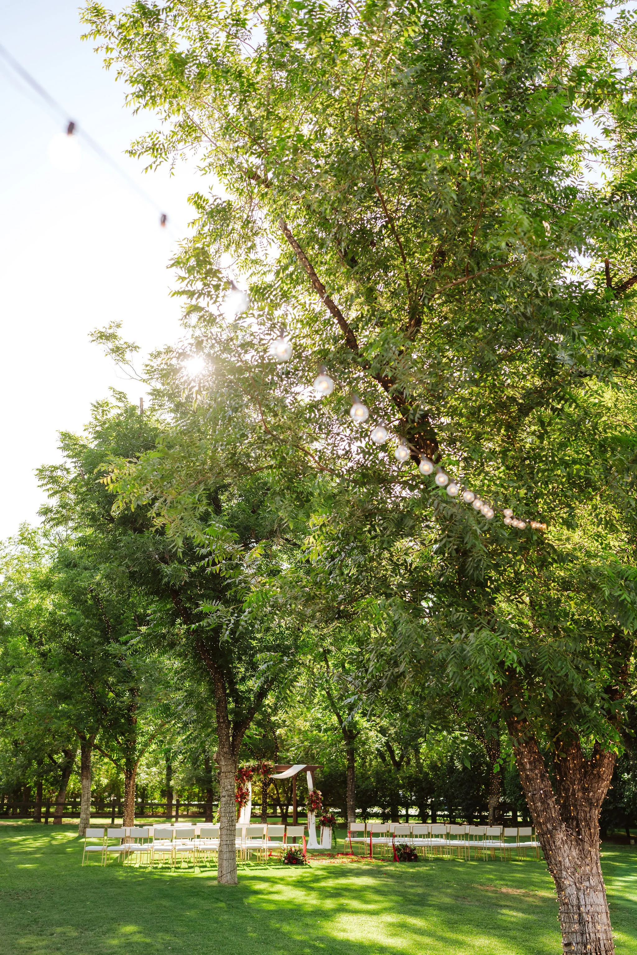 Tree-filled garden setting at Venue at the Grove surrounded by lush greenery for an outdoor Arizona wedding.