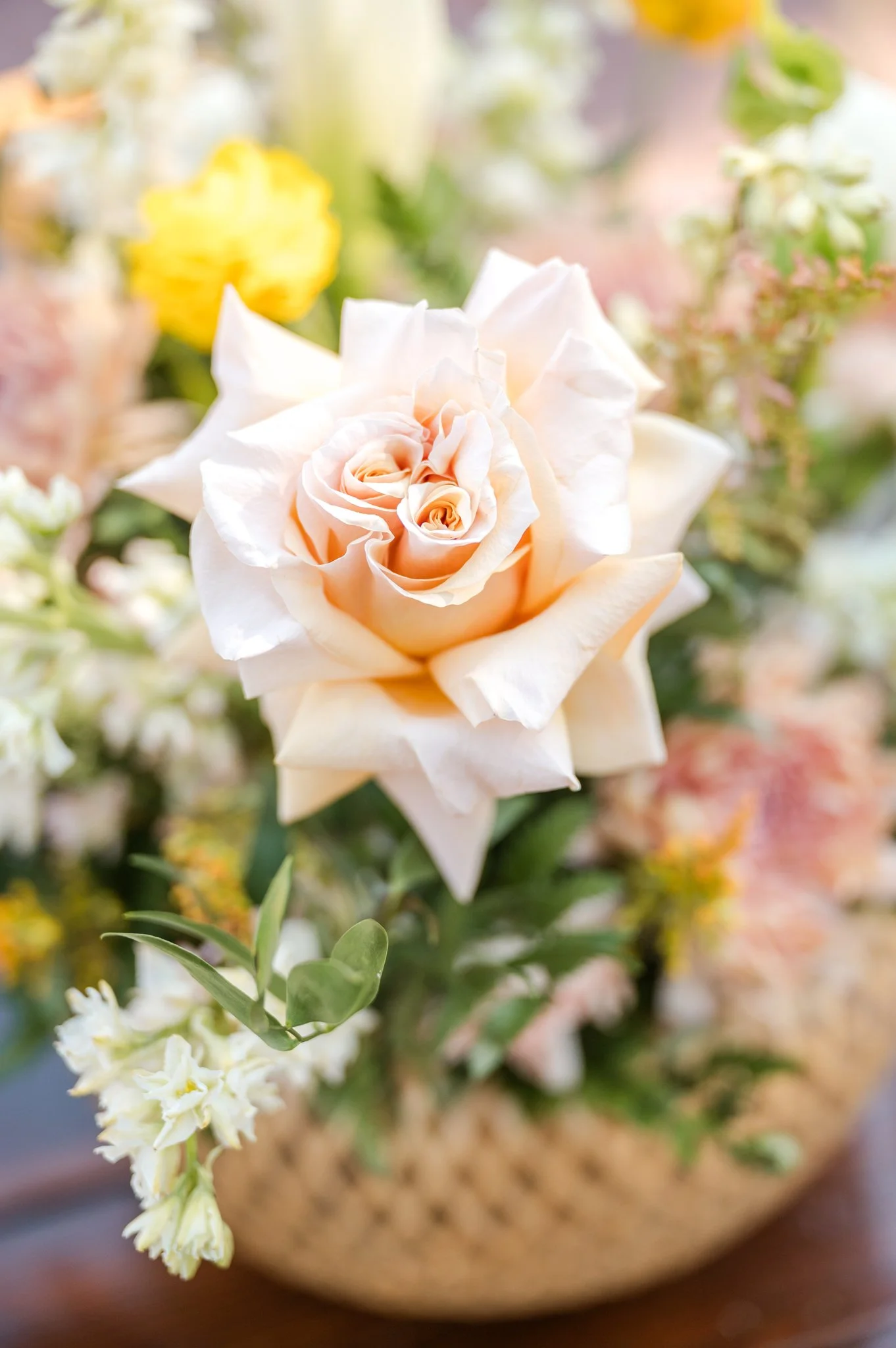 Close-up of a soft peach garden rose surrounded by colorful wedding flowers and greenery.