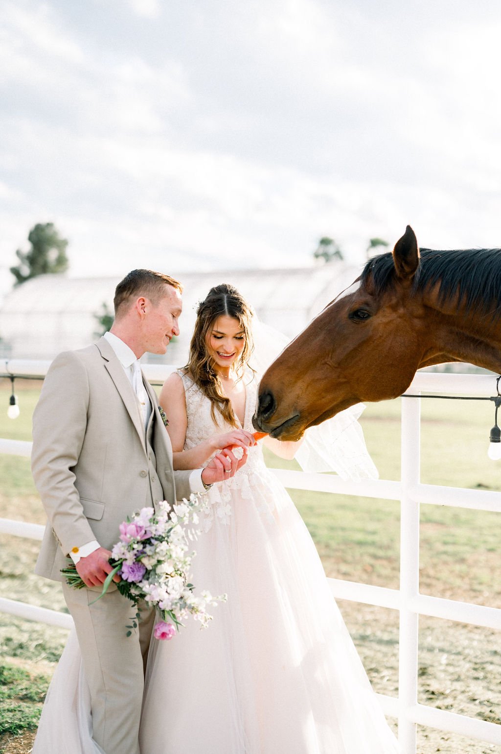 Bride and groom with a horse while holding a romantic garden-inspired wedding bouquet at a rustic Arizona wedding.