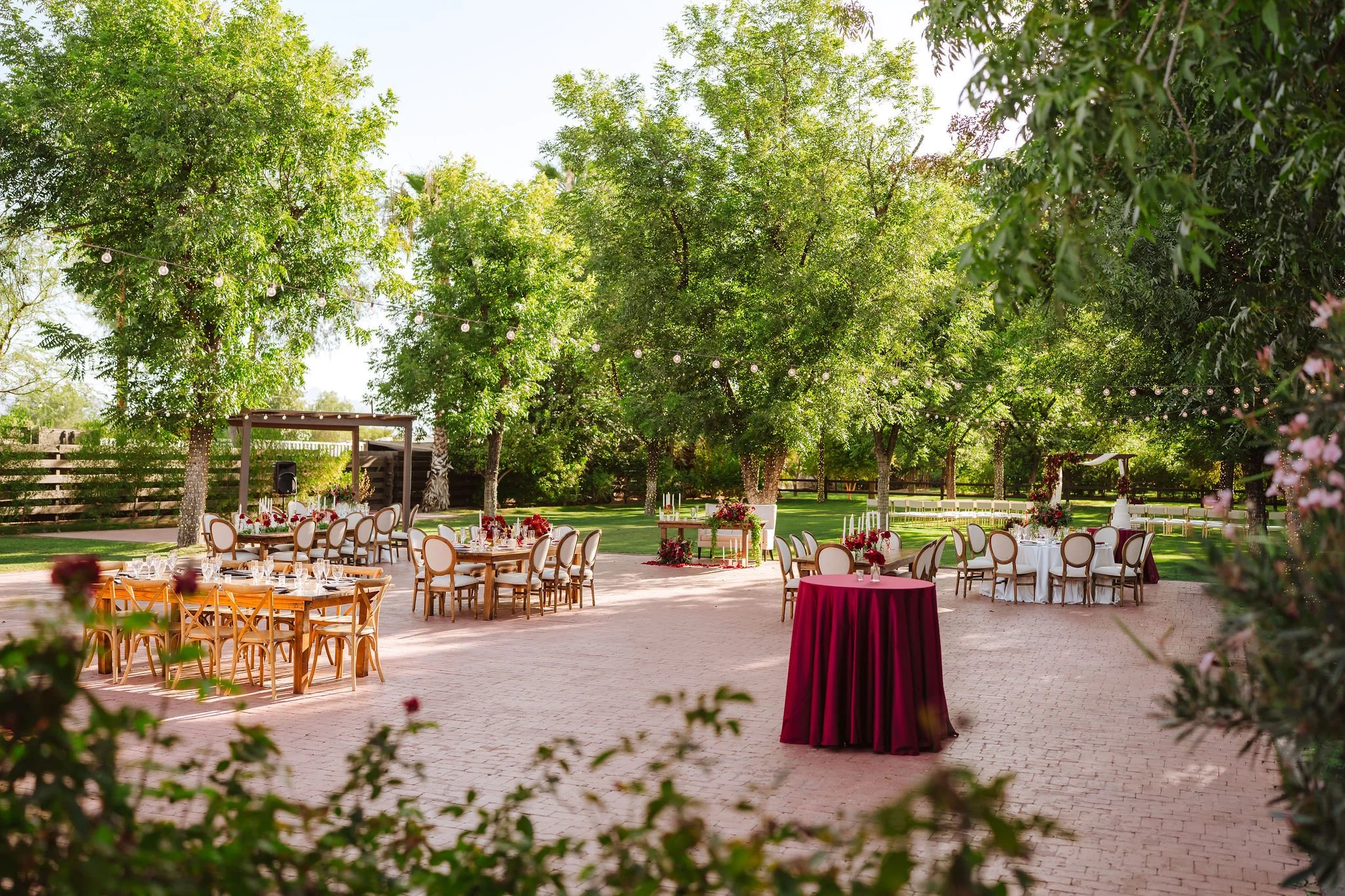 Outdoor event setup with round tables, decorated chairs, and string lights among green trees during daytime.