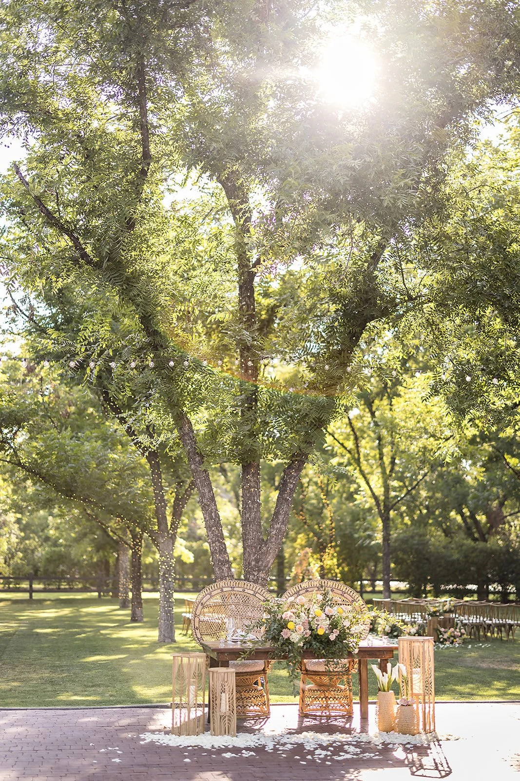 Tree-filled outdoor wedding ceremony at Venue at the Grove decorated with colorful aisle flowers and garden-inspired floral installations.