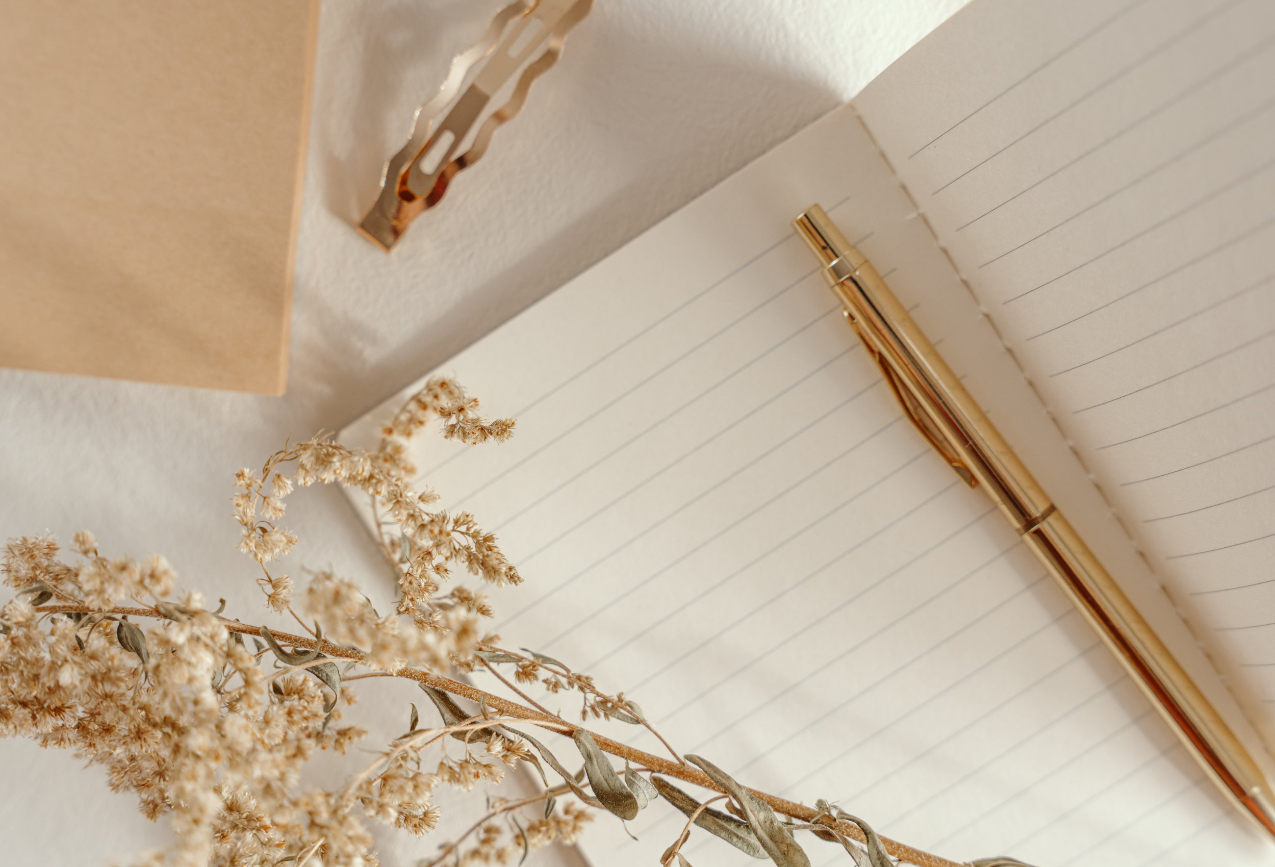 Notebook beginner friendly