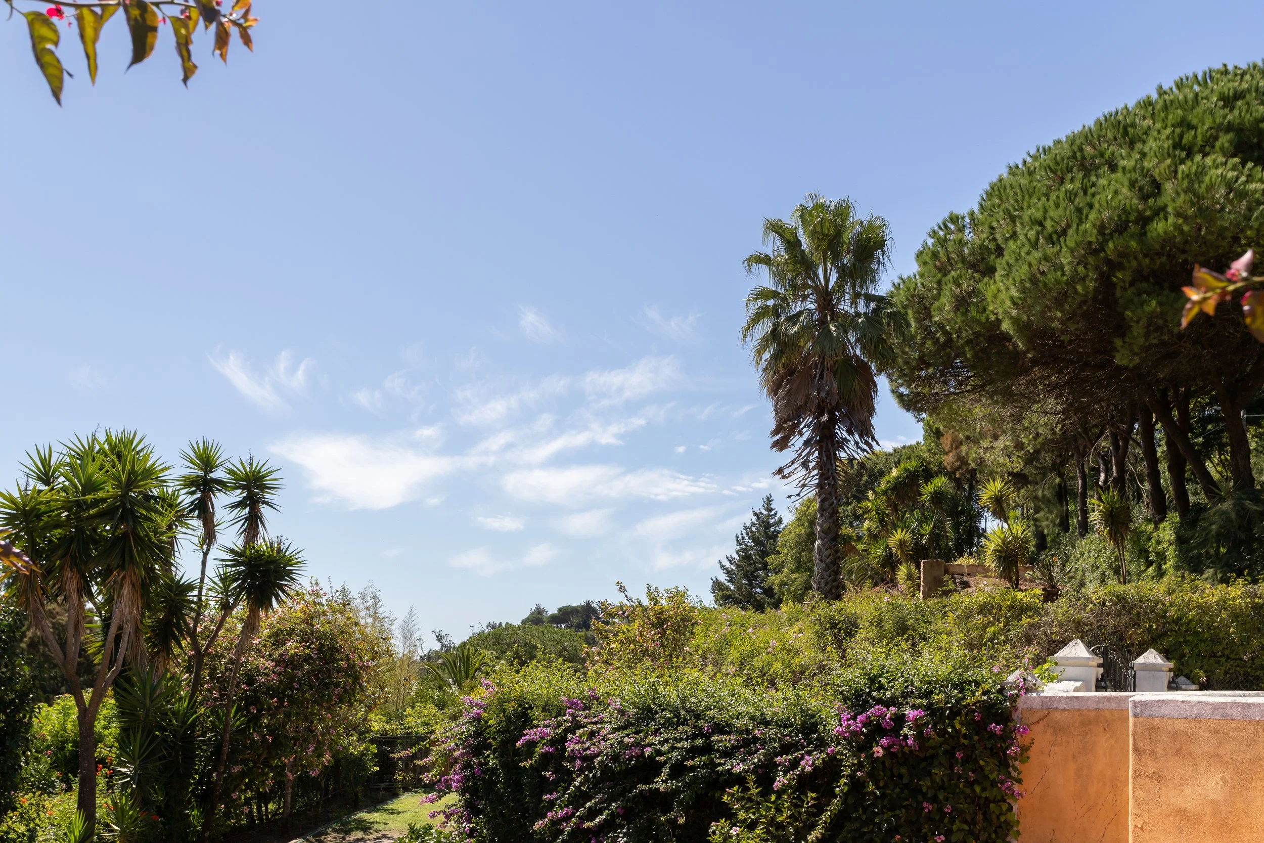 Alta Resolução-18.jpg