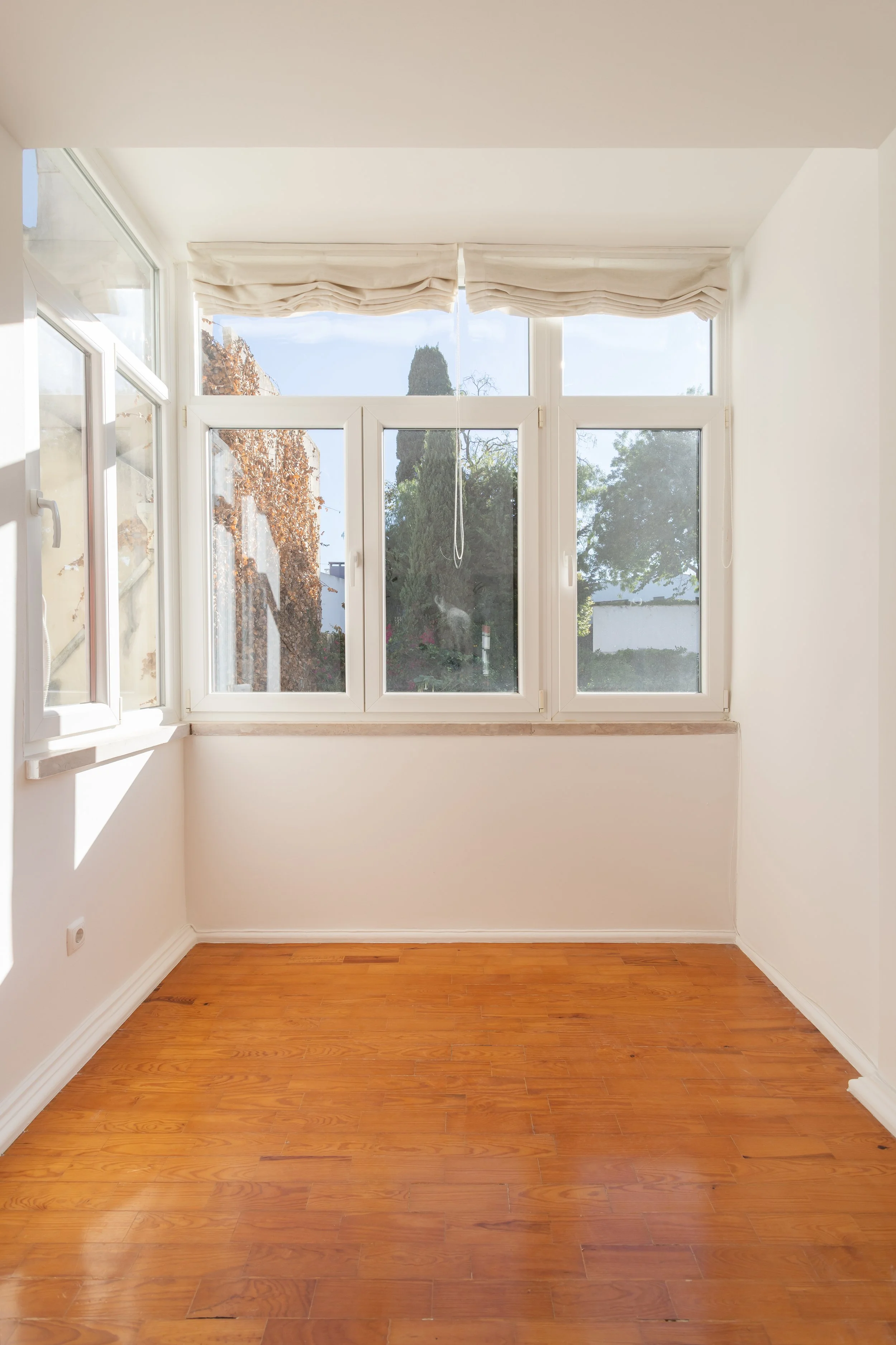 Alta Resolução-6.jpg