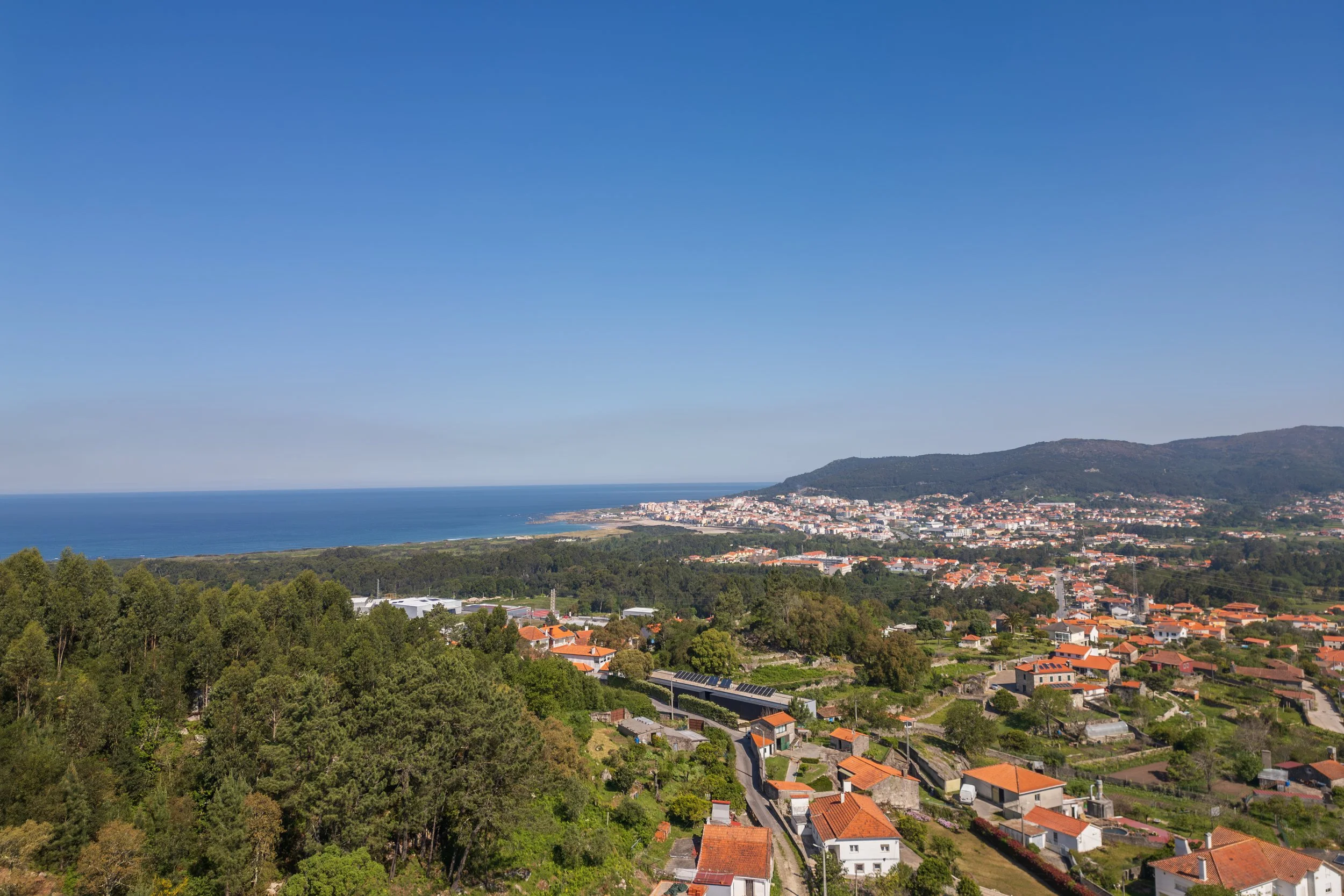 Aerial view of a coastal town with trees, houses with red roofs, and a distant ocean under a clear blue sky.