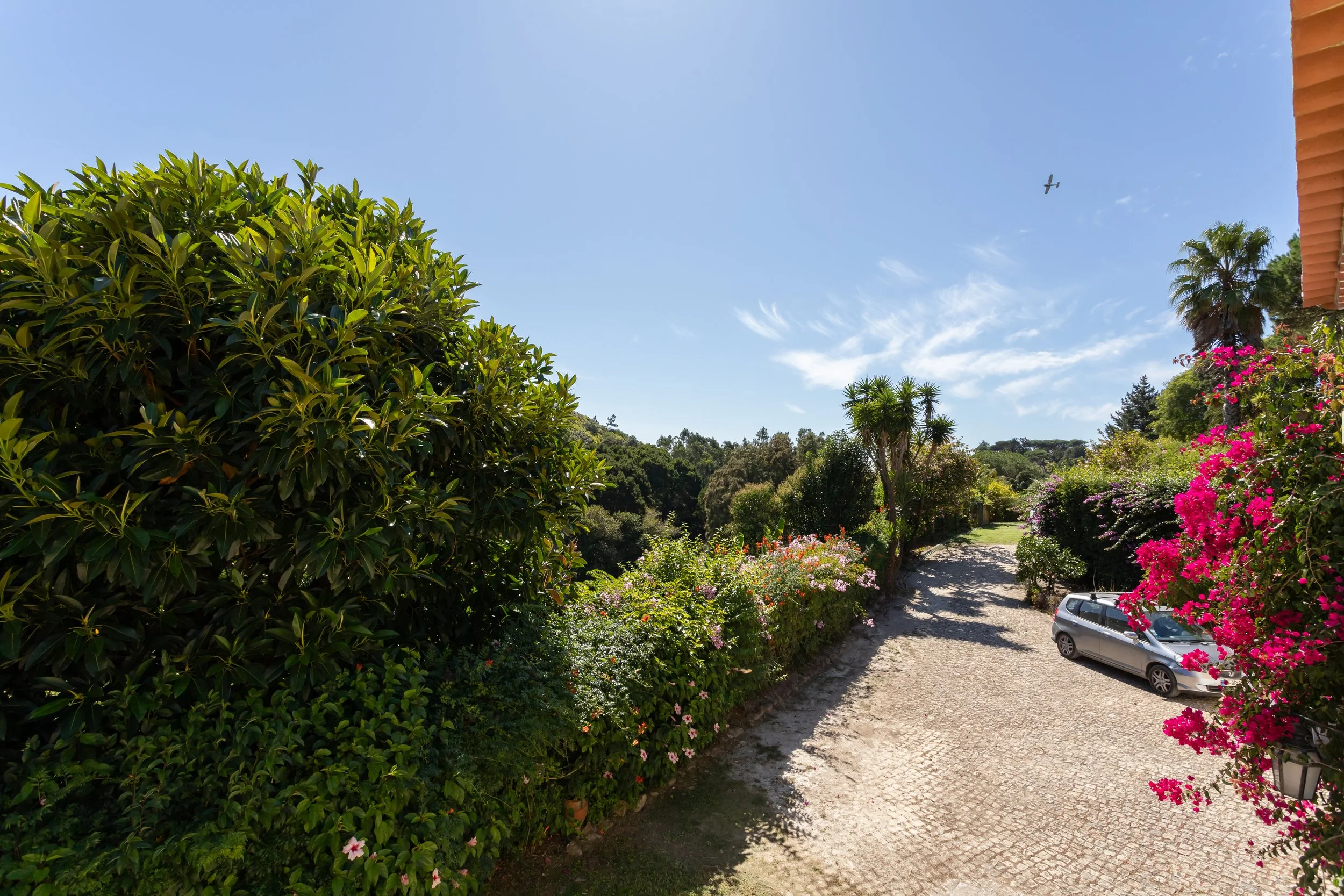 Alta Resolução-29.jpg