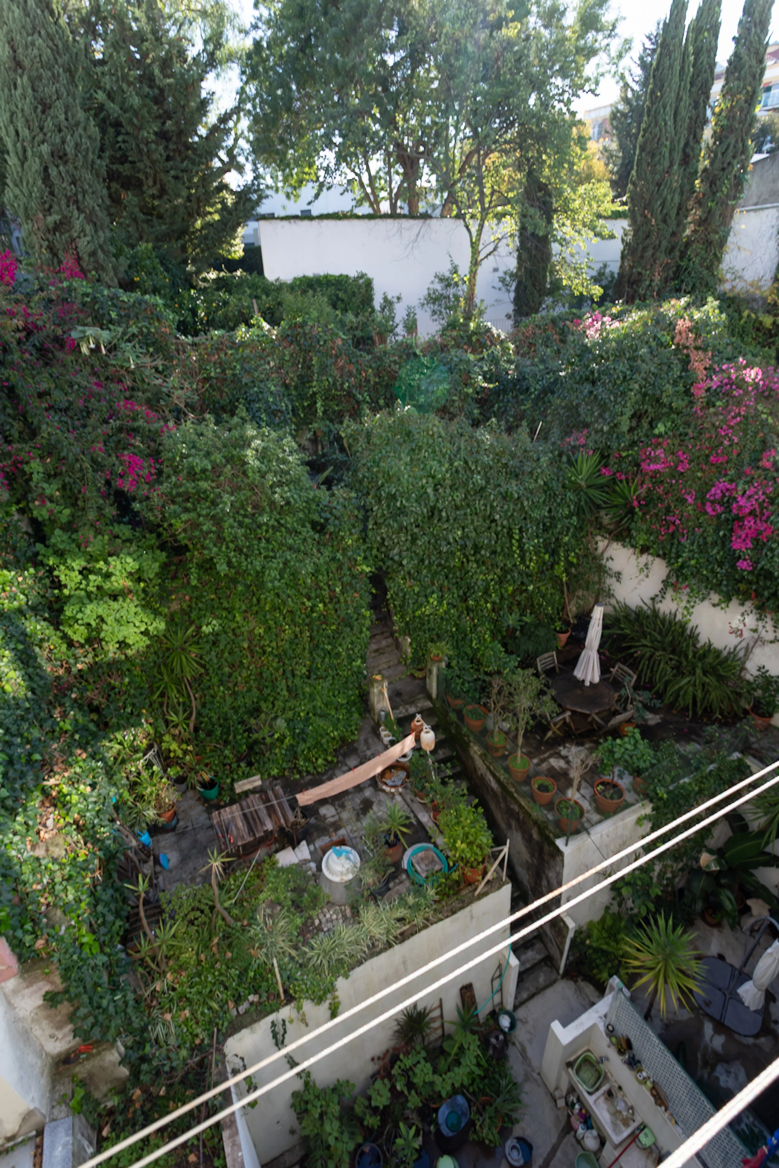 Alta Resolução-11.jpg