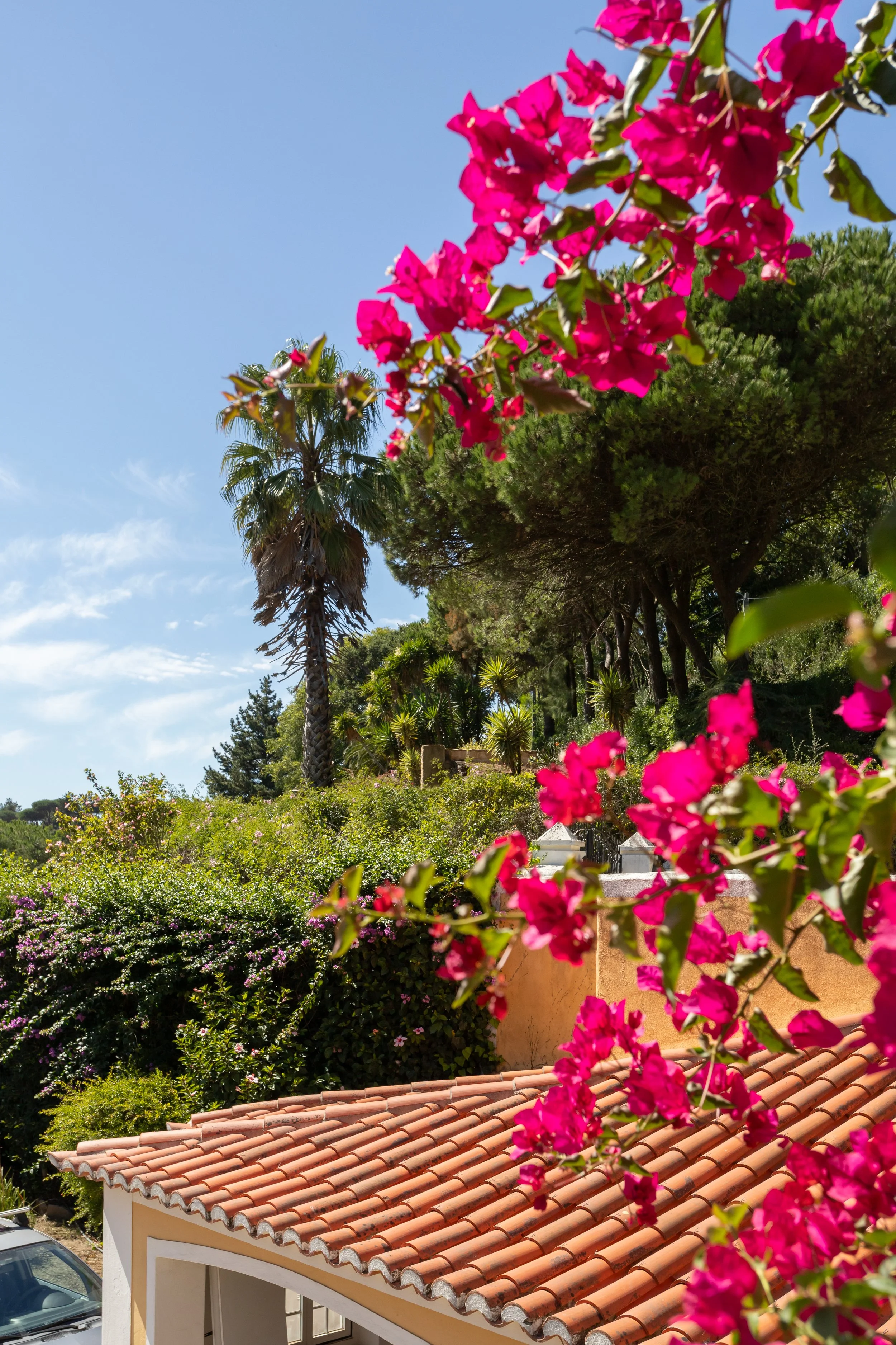 Alta Resolução-17.jpg