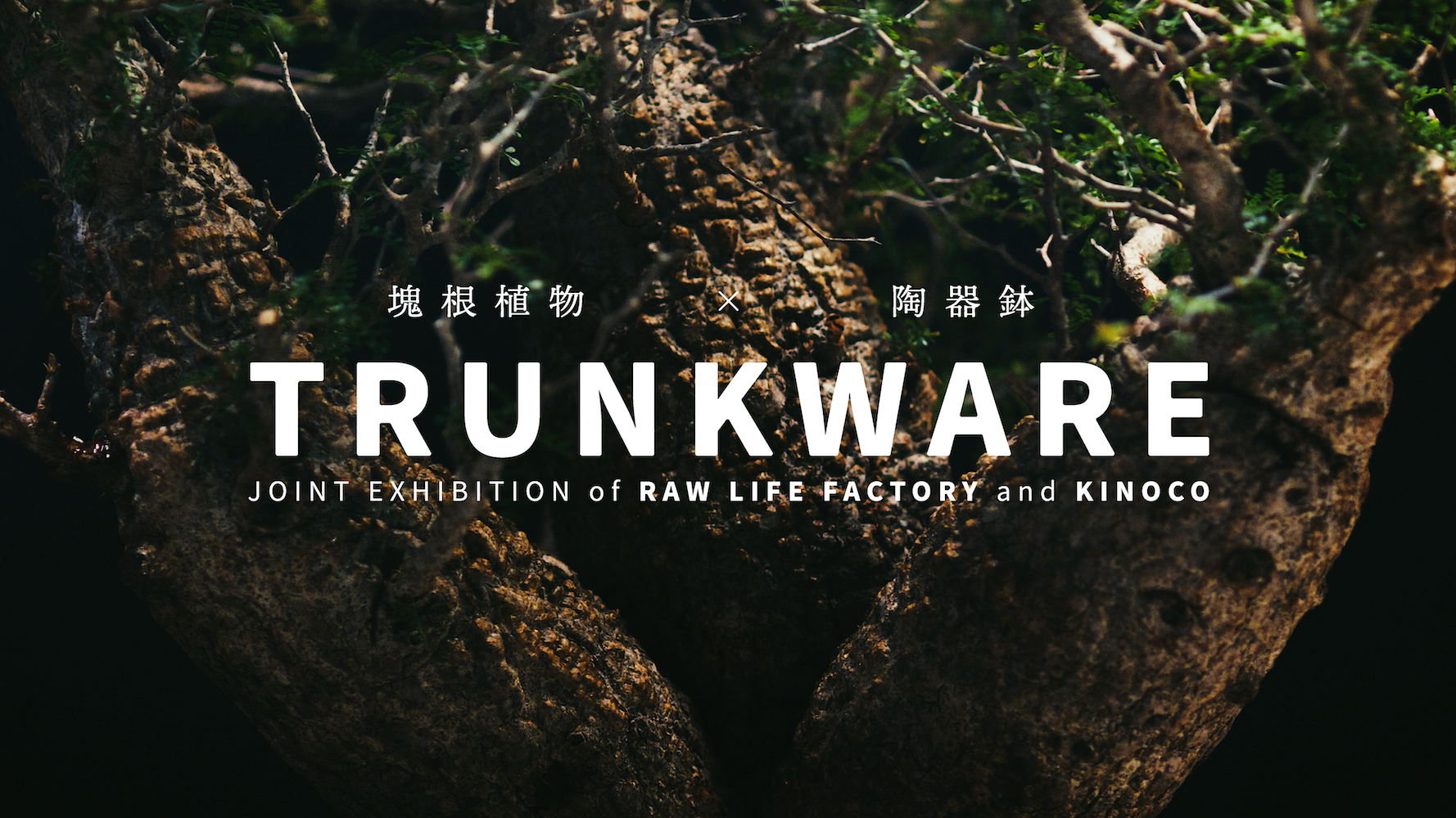 TRUNKWARE Teaser
