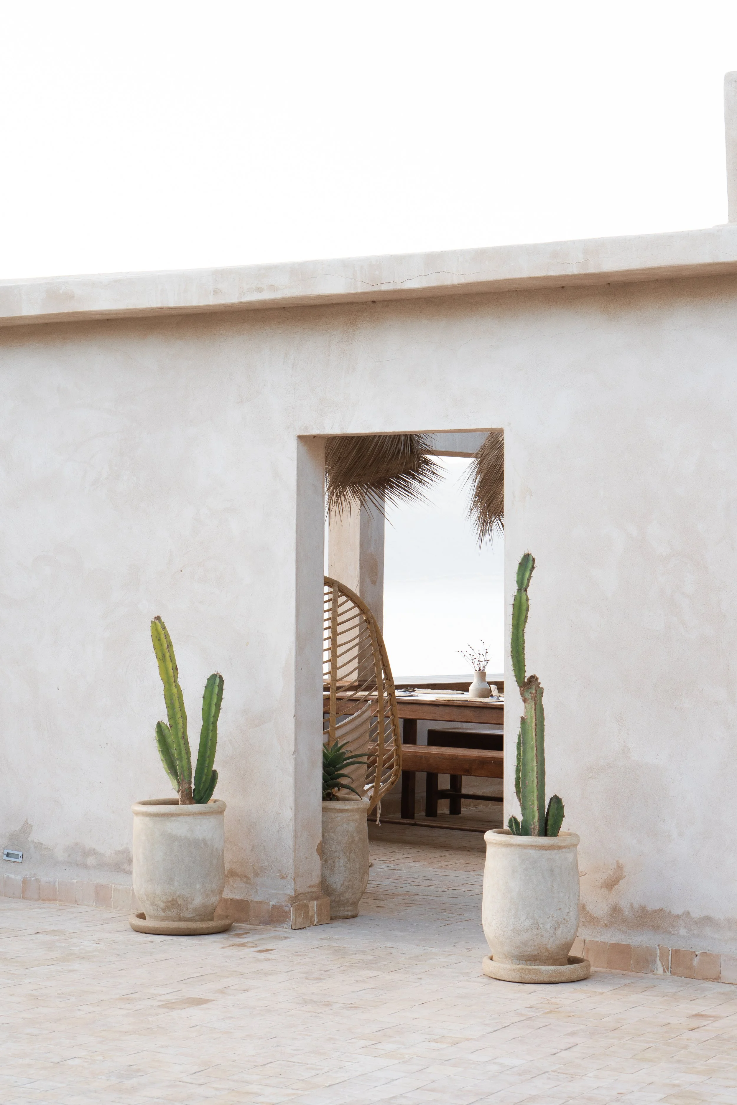 Sand-colored wall with a doorway leading to an outdoor seating area, with potted cacti in large cream pots on the patio.