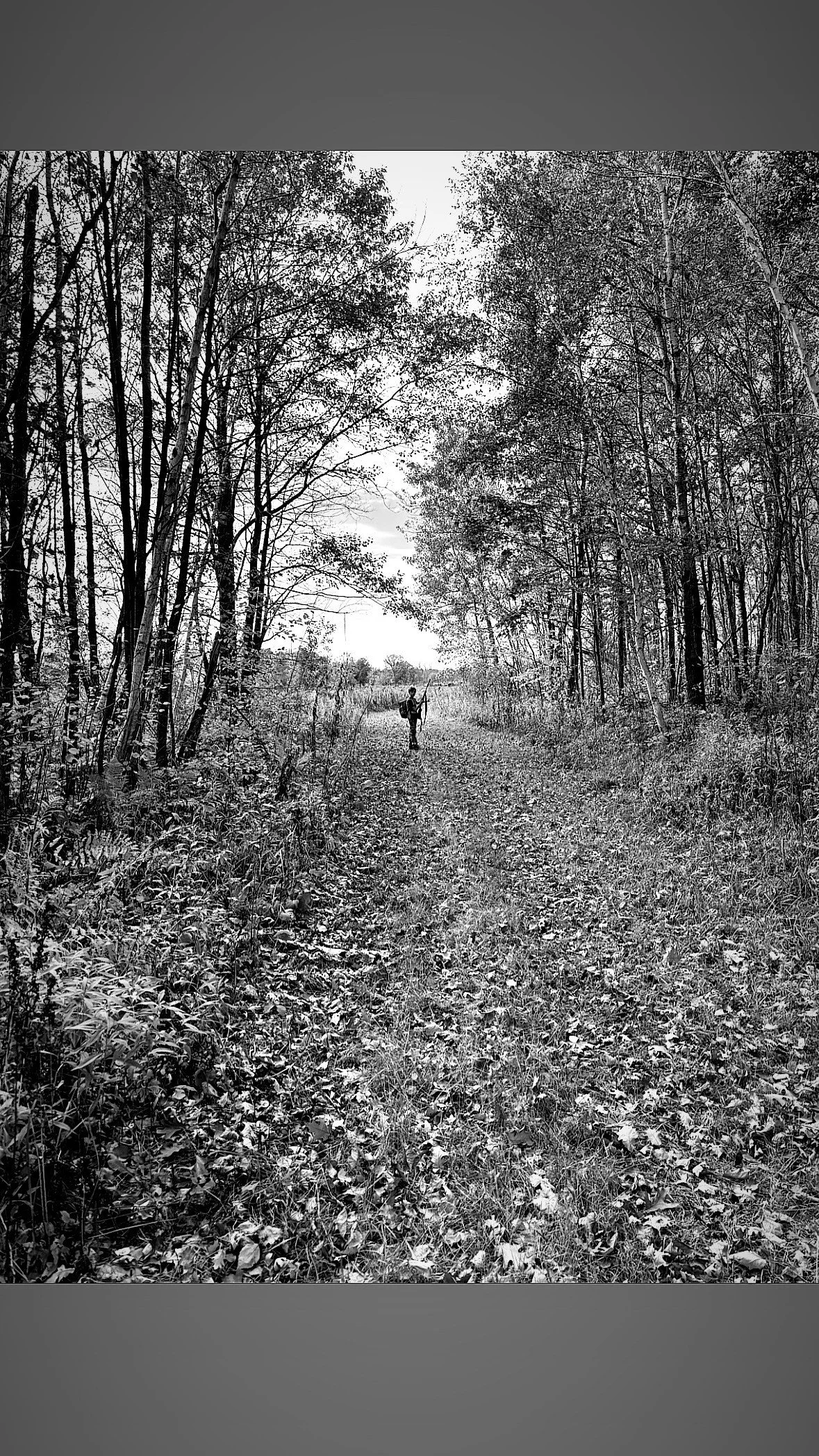 Thumb - Ash - Services.jpg