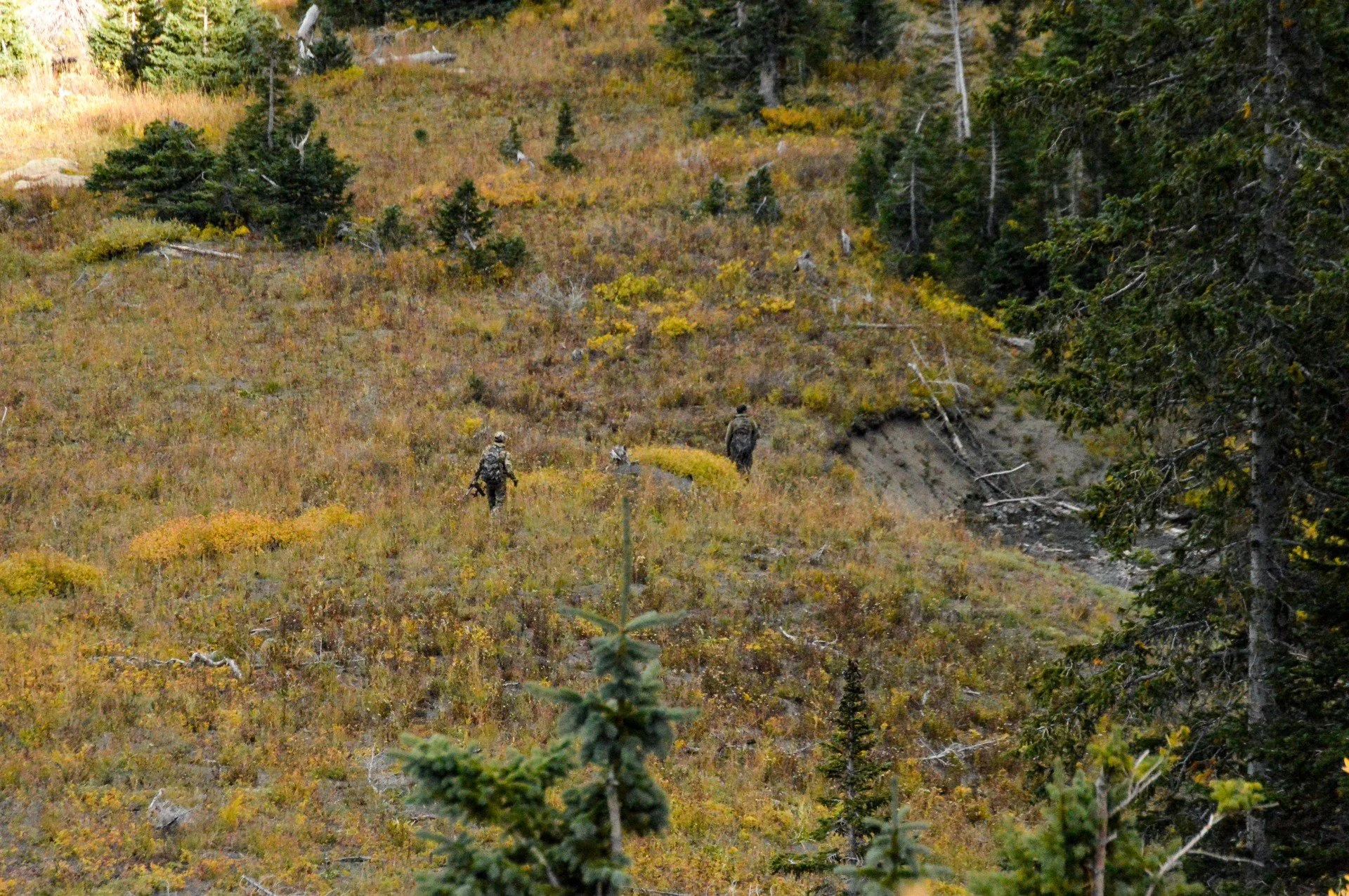 Thumbnail - Long Distance - CO.jpg