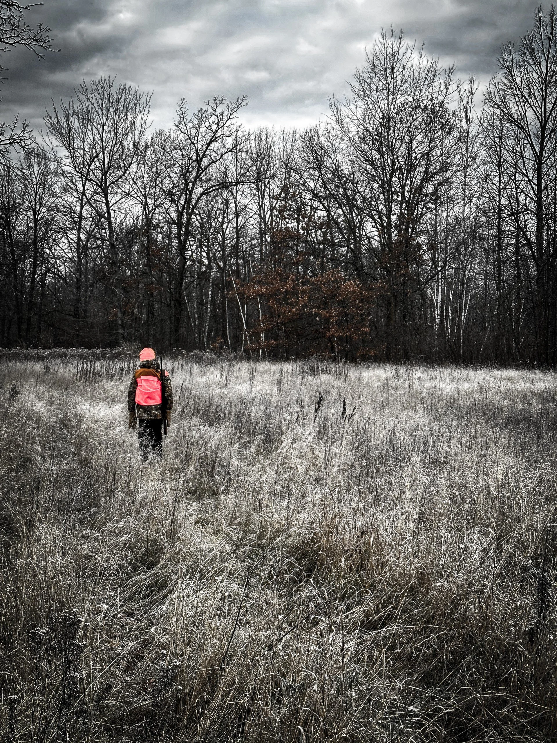 Thumb - Ash - Services orange.jpg