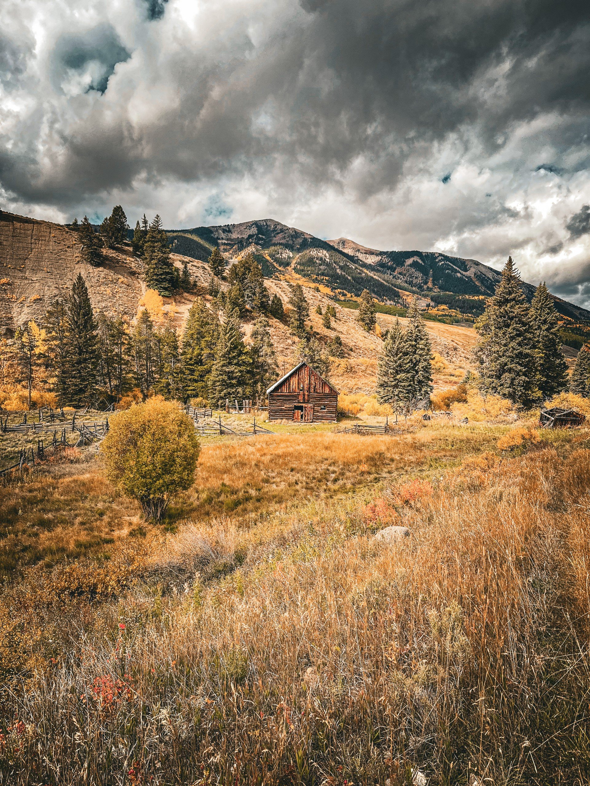 Print - Cabin - CO.jpg