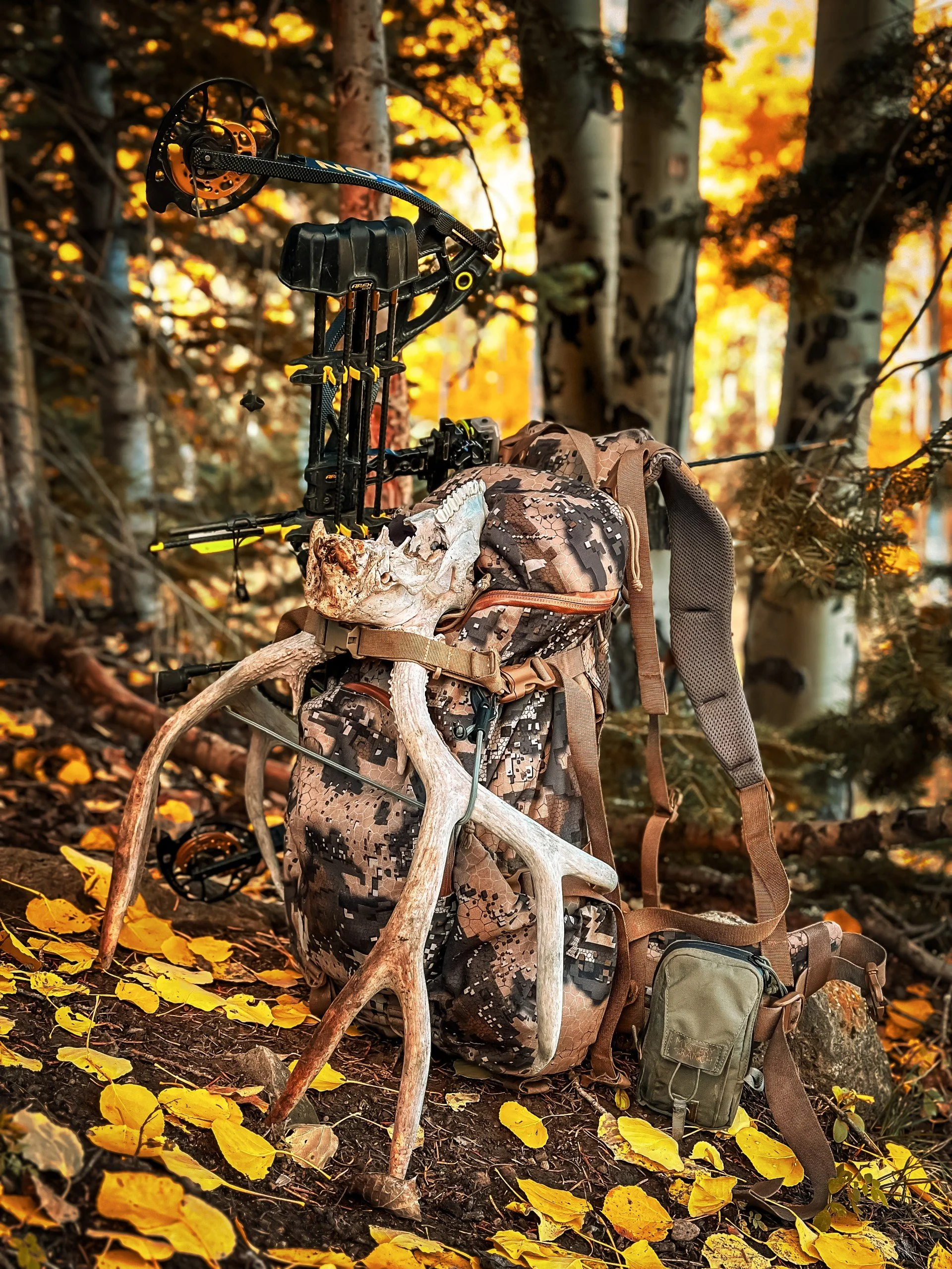 A camouflage backpack with a skull and antlers attached, leaning against an antler with a bow and quiver on top, set in a forest with autumn leaves on the ground and trees in the background.