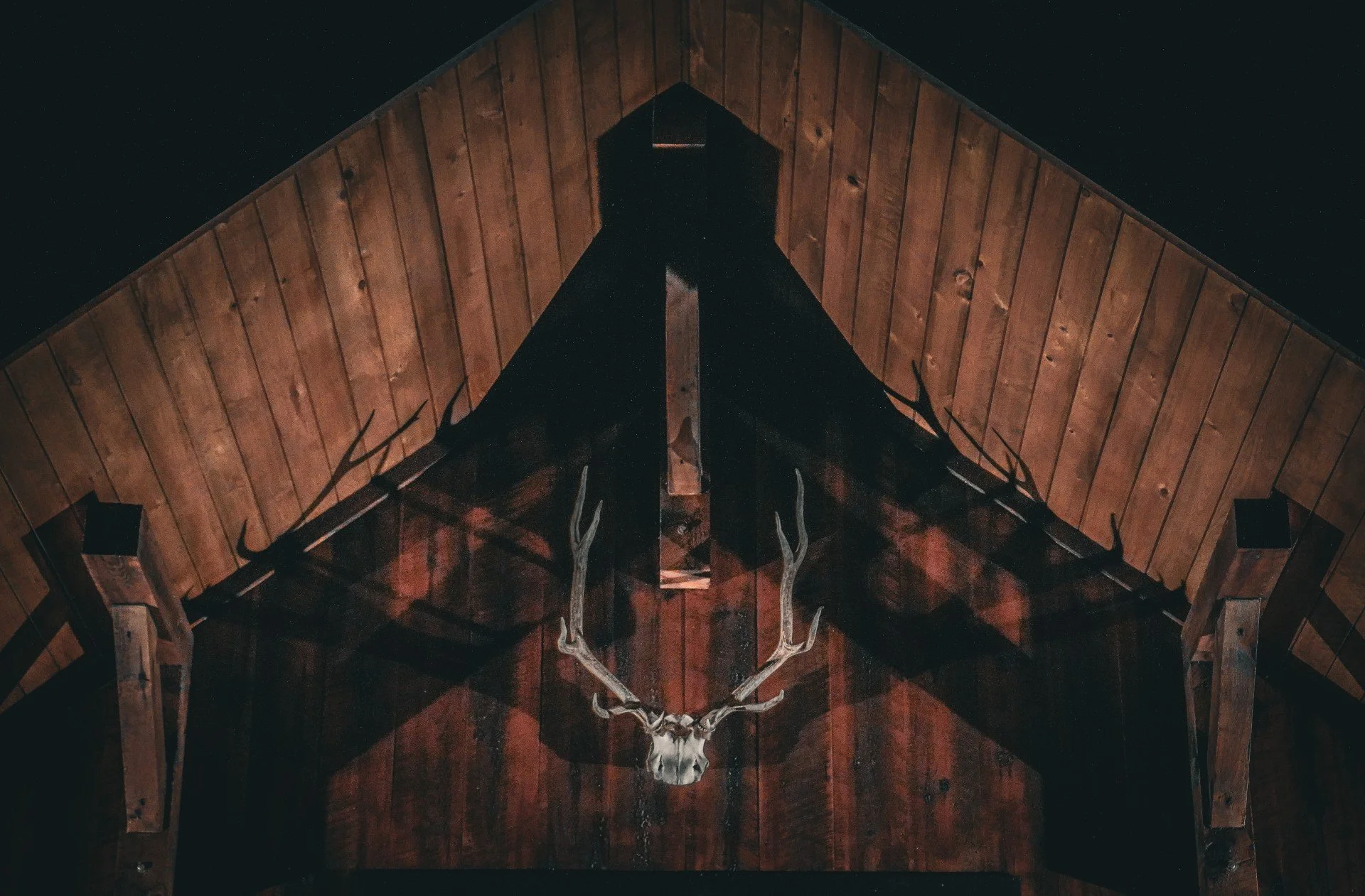 Thumb - Horns on wall.jpg