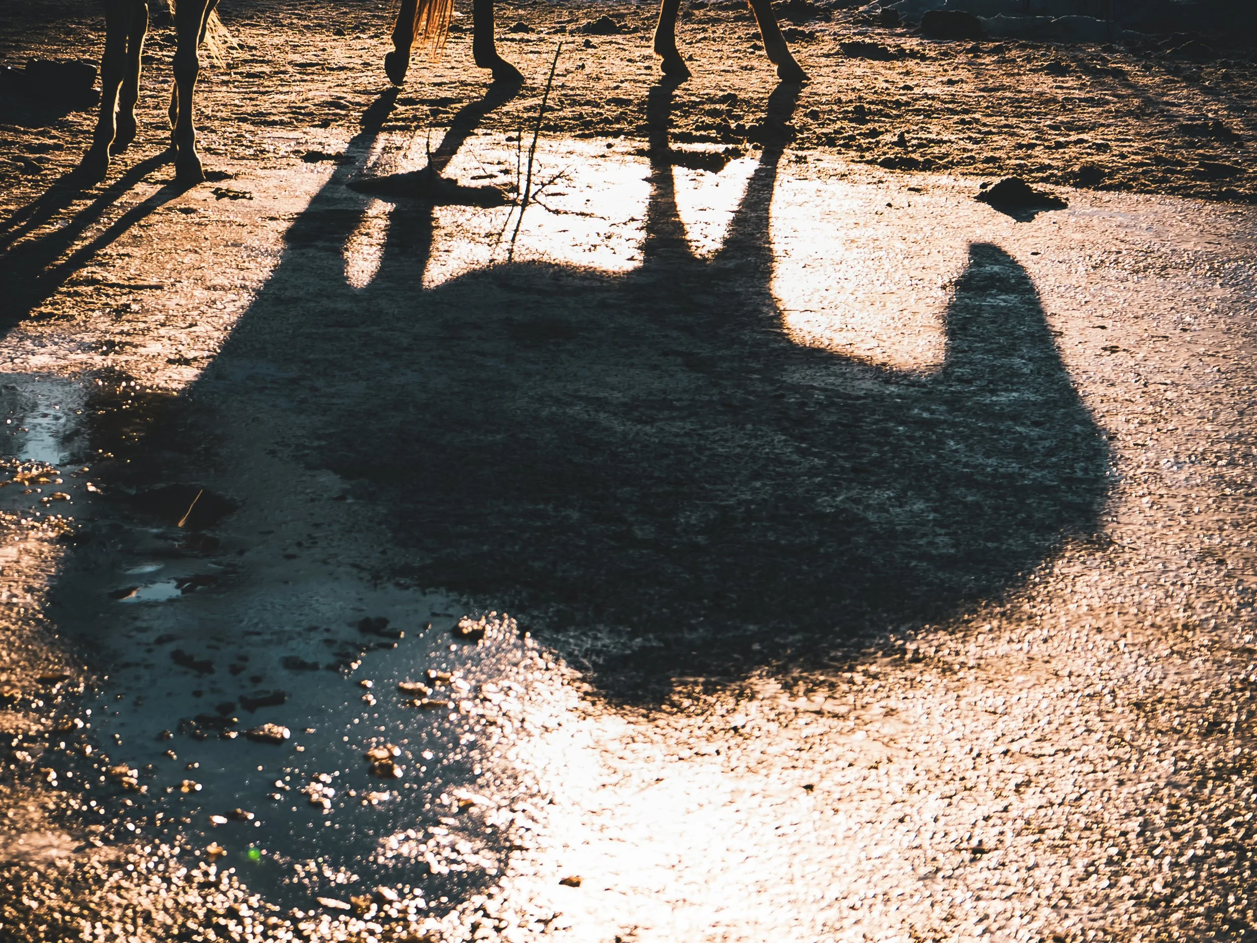 Shadow Horse-3.jpg