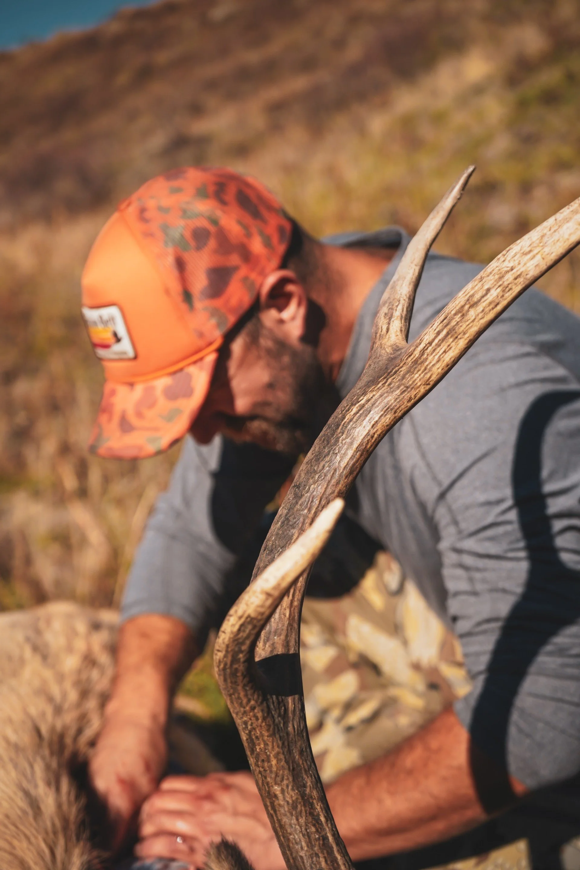 Thumbnail - Colt - Services.jpg