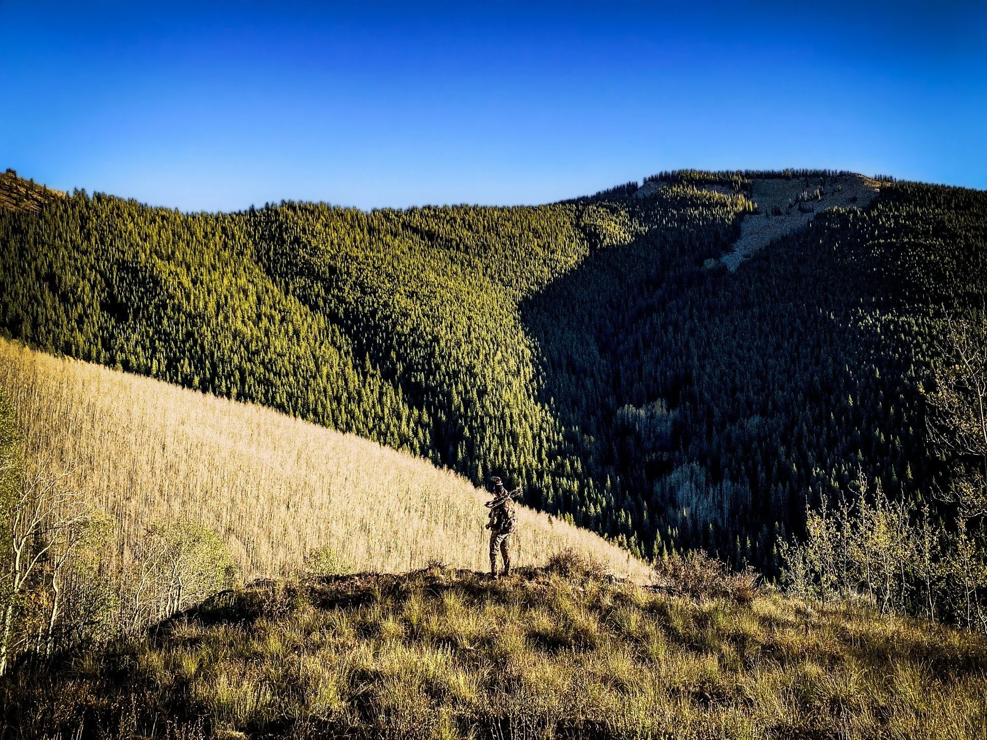 Thumb - Garrett Timber - CO.jpg