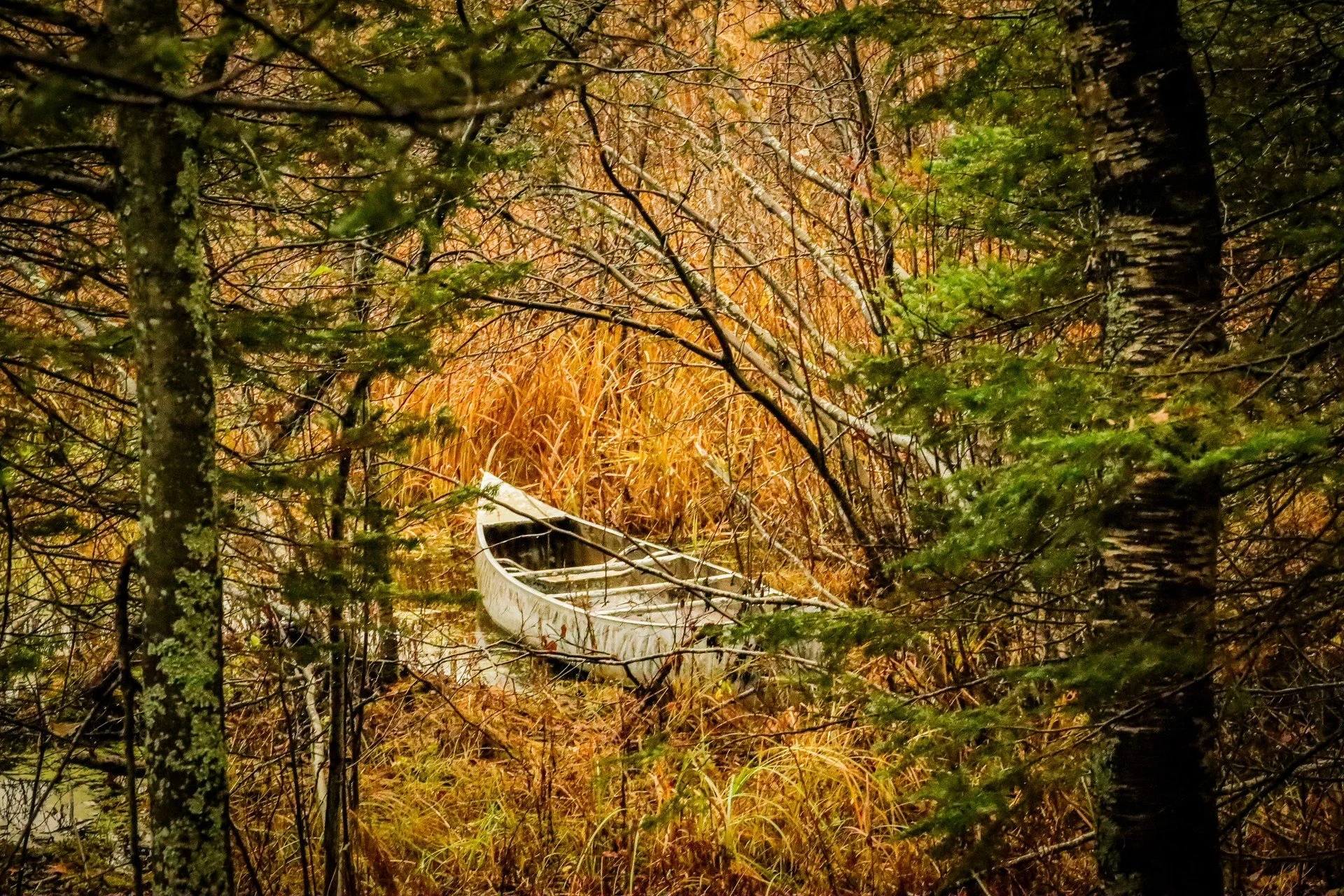 Thumb - Canoe.jpg