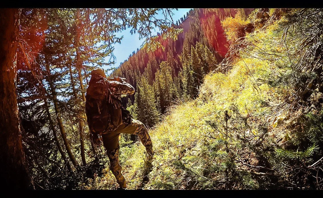A person hiking in a dense forested mountain trail with tall evergreen trees and yellow autumn foliage, under a clear blue sky.
