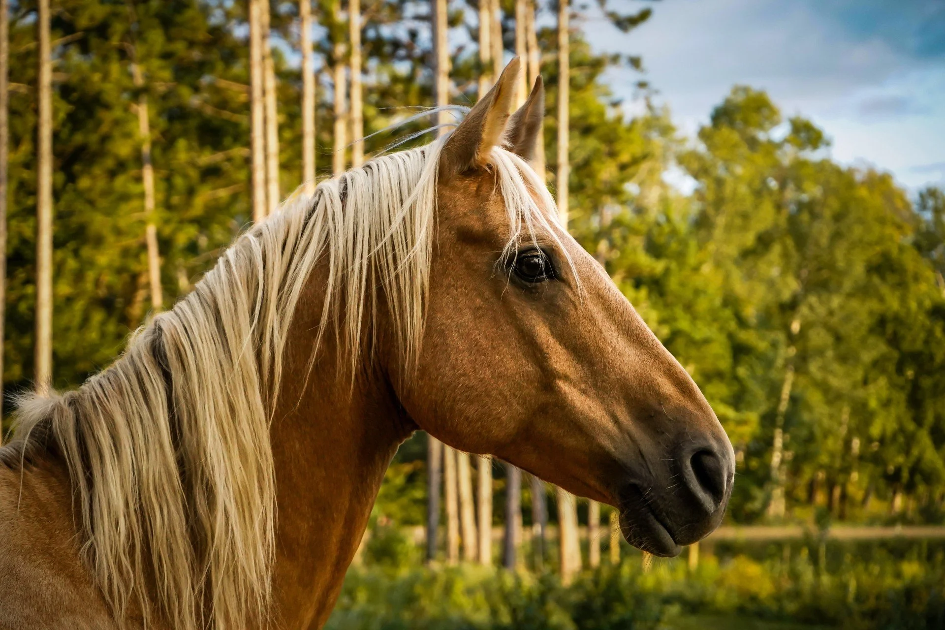 ThumbPrint - Jack.jpg