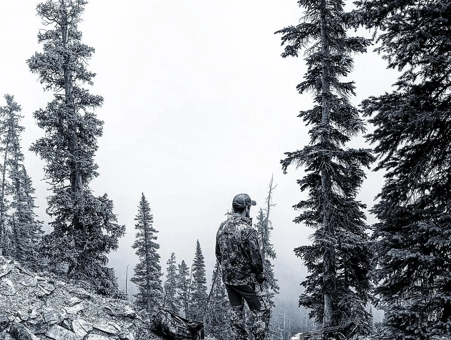 Thumbnail - Colt BW - CO.jpg