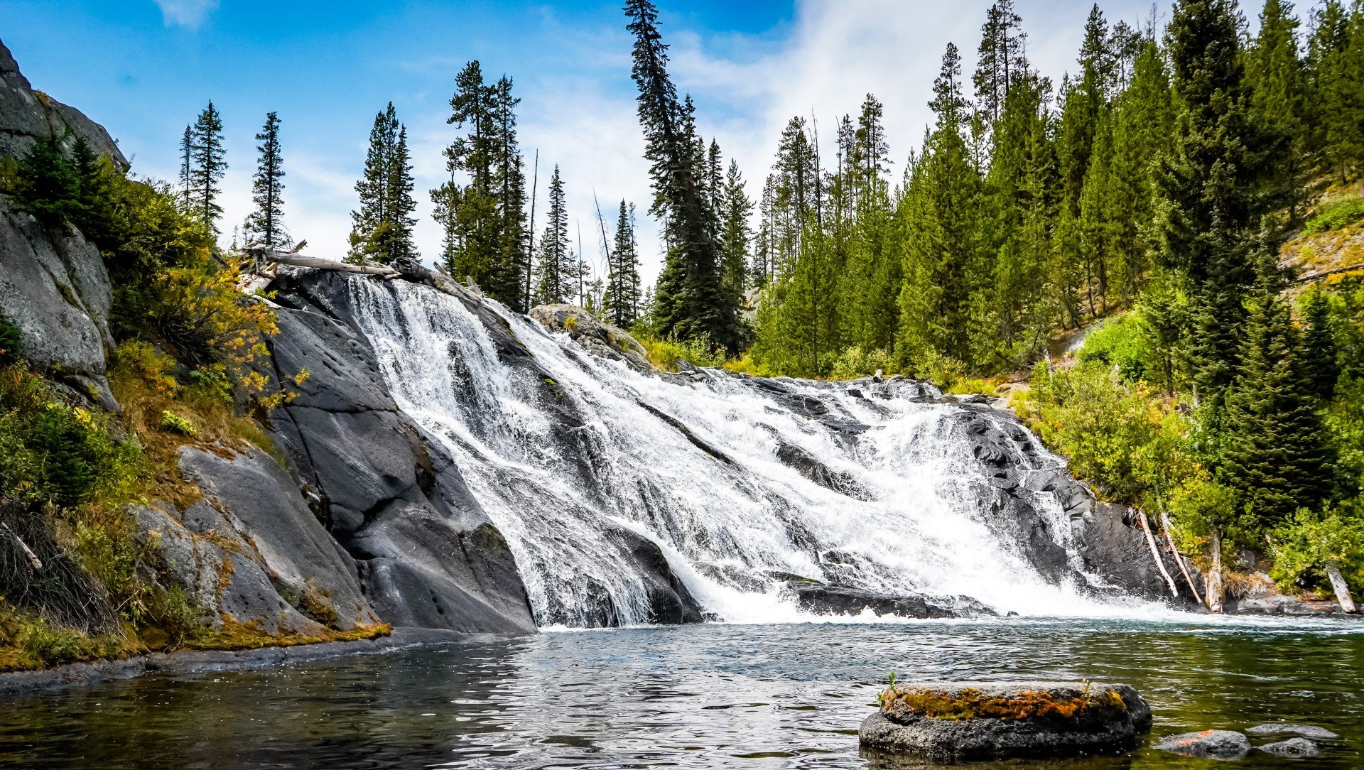 A waterfall cascading over rocks into a river, surrounded by tall pine trees and green forest under a blue sky.