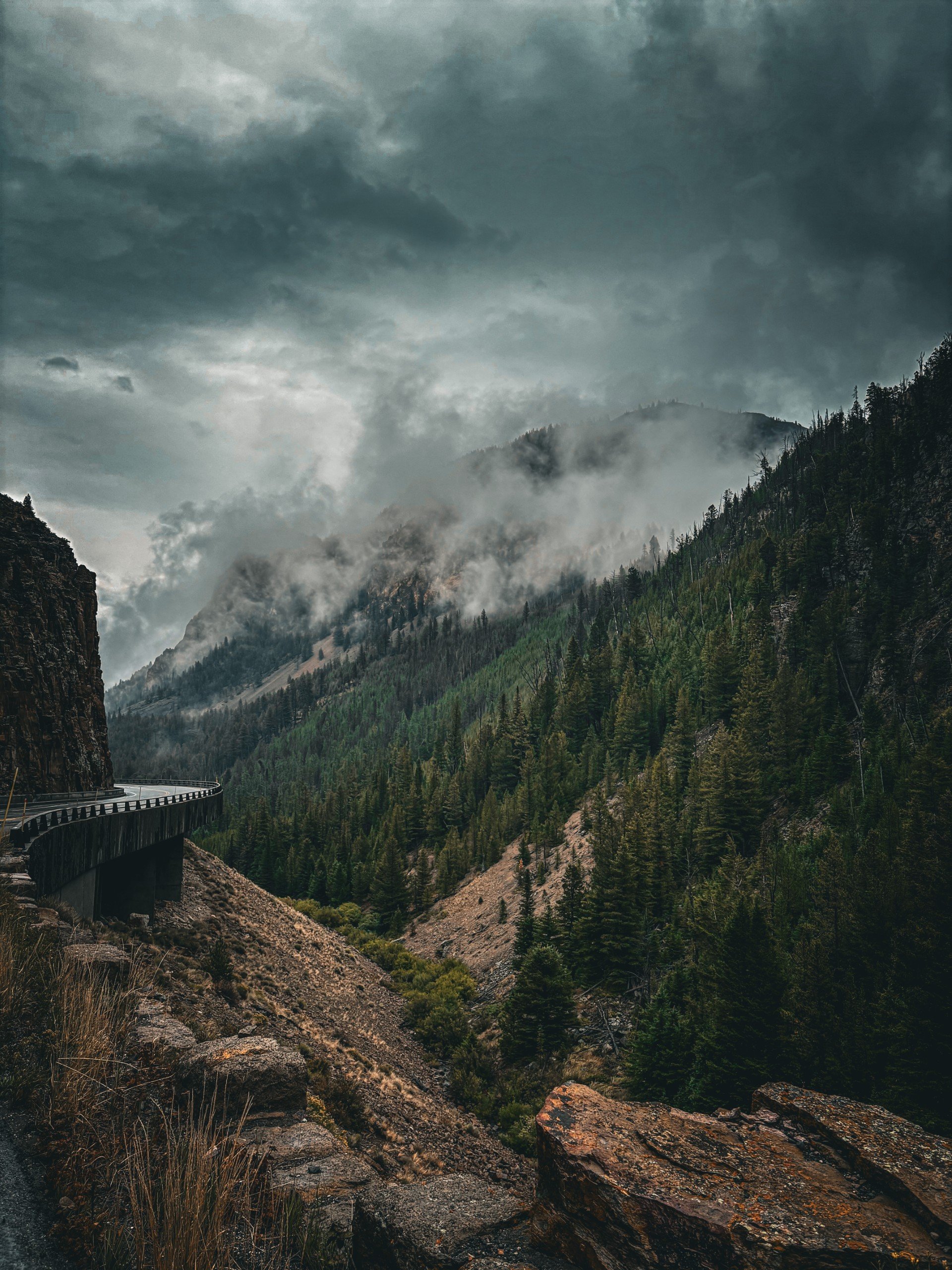 A mountainous landscape with dense pine trees, rocky slopes, and a cloudy, stormy sky, featuring a winding road on the left side.