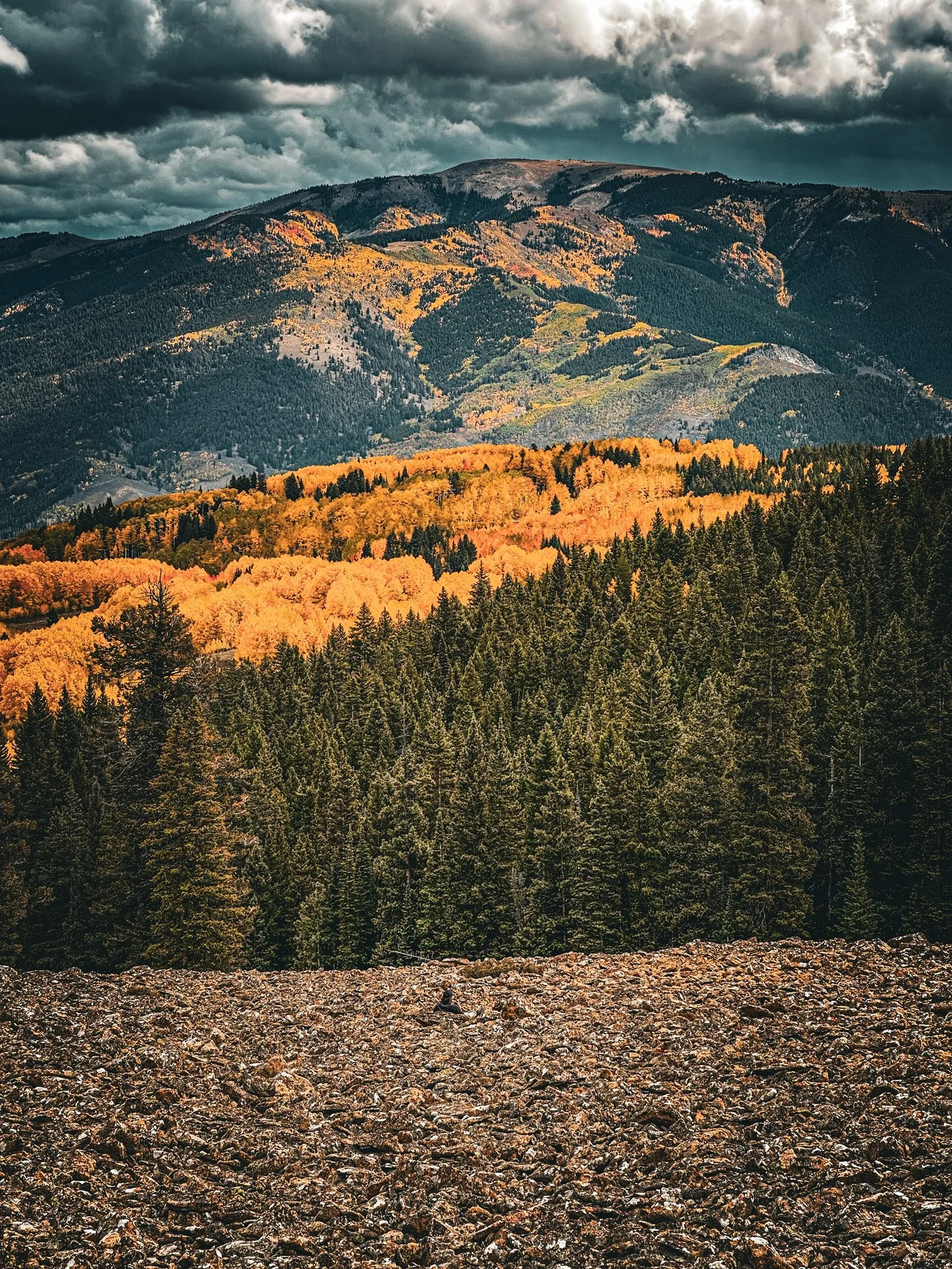 A scenic landscape of a mountain range with dark storm clouds overhead, green and yellow autumn trees in the middle ground, dense evergreen forests, and rocky foreground.