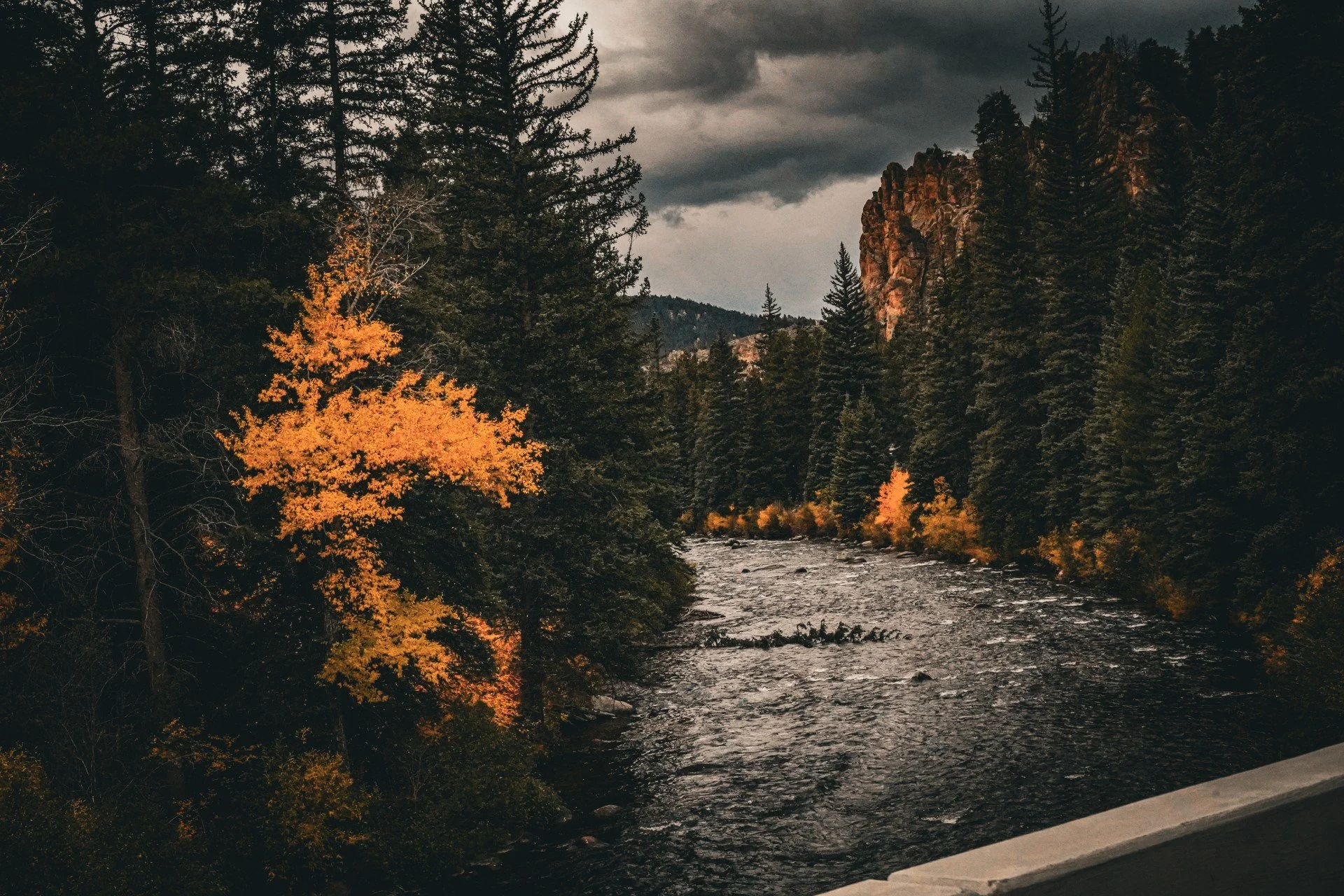 A river flowing through a forest with tall pine trees, some displaying orange and yellow autumn leaves, under a cloudy sky with dark storm clouds.