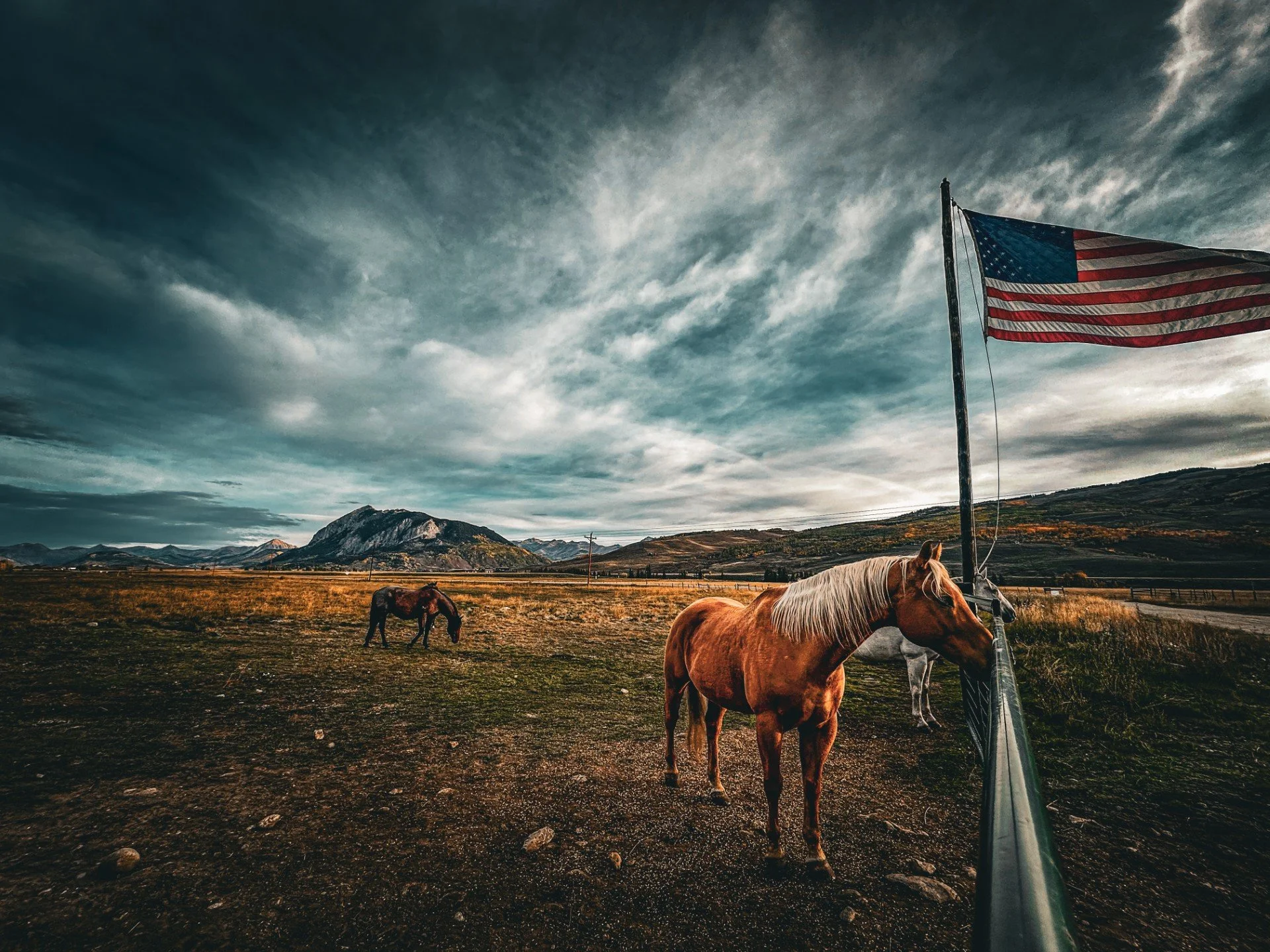 Horses grazing near an American flag on a pole in a rural landscape with mountains in the background and a cloudy sky.