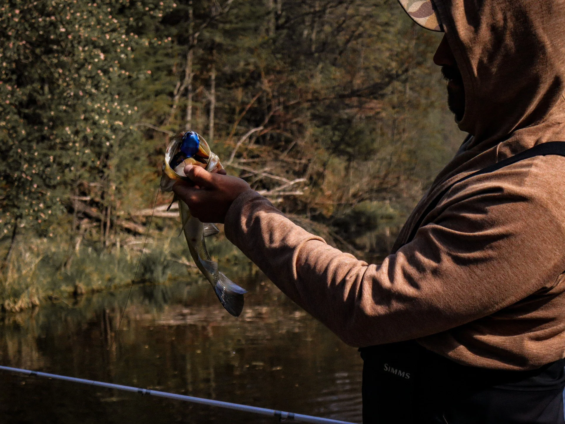 Thumbnail - Lure - MN.jpg