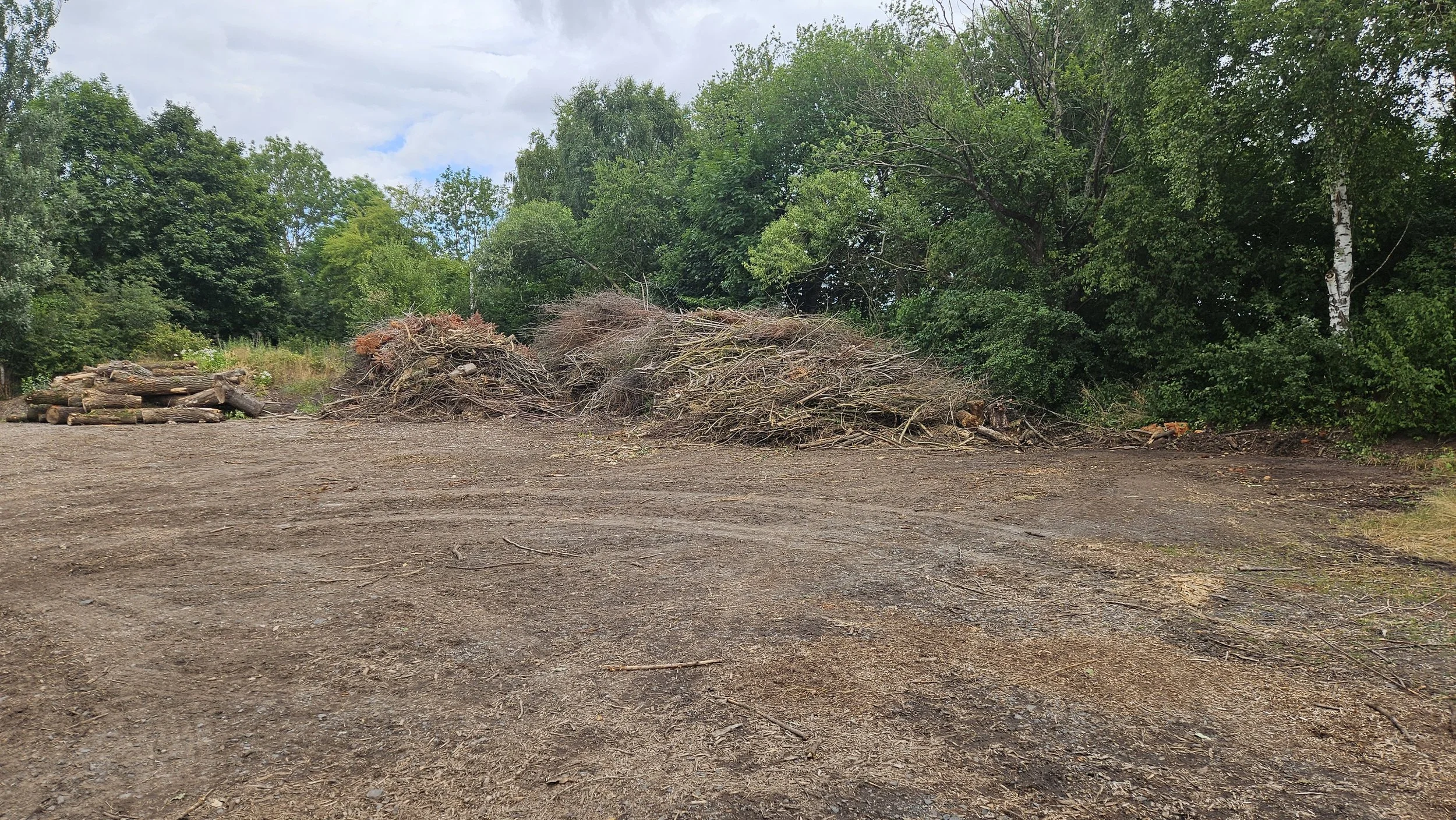 Haufen von Ästen und Holzstämmen auf einer freien, ausgebeulten Fläche, umgeben von Bäumen und grünem Laub, bei bewölktem Himmel.