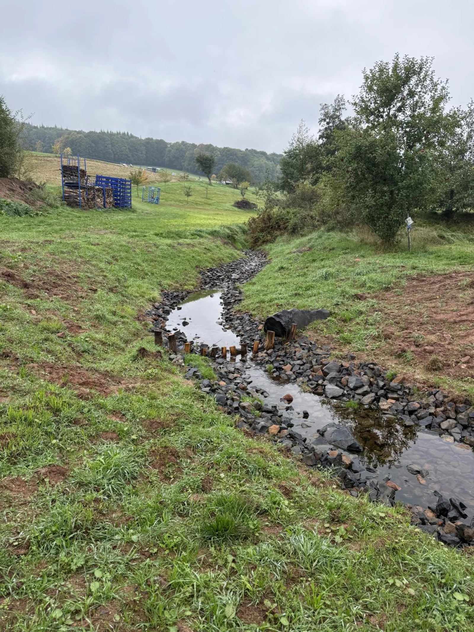 Ein kleiner Bach fließt durch eine grüne Wiesenlandschaft mit Bäumen und Hügeln im Hintergrund, es ist bewölkt.